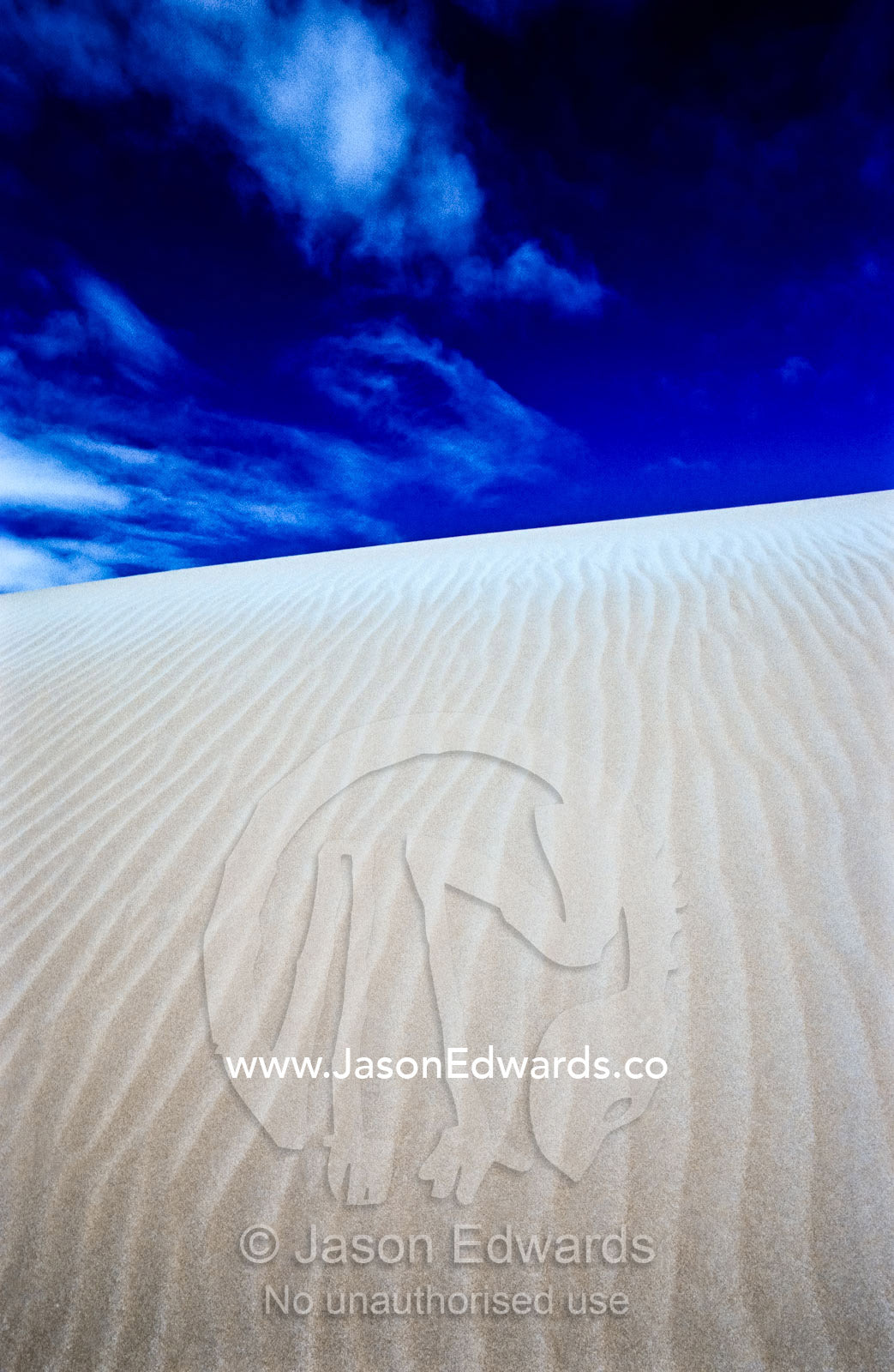 A sand dune sheltering the Nullarbor Plain from the Southern Ocean. Fowlers Bay, South Australia, Australia.
