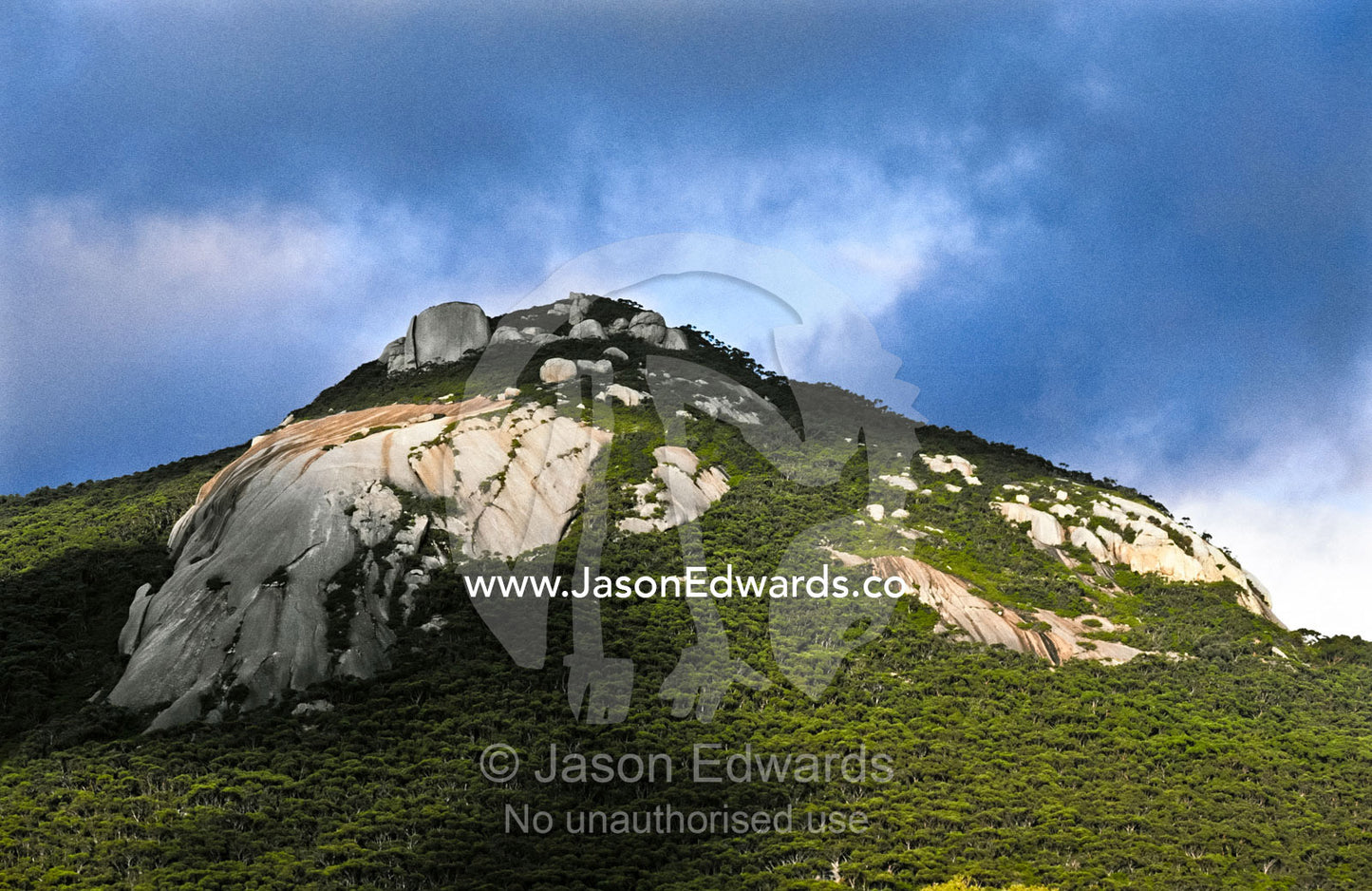 A granite mountaintop pierces a dense forest beneath brooding clouds. Wilsons Promontory National Park, Victoria, Australia.