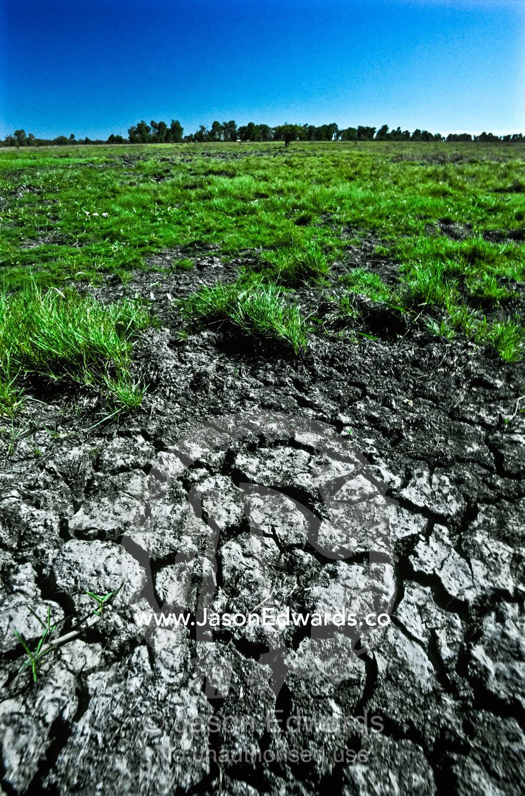 Cracked wetland mud beneath a baking sun during the Top End dry season Kakadu National Park, Northern Territory, Australia.