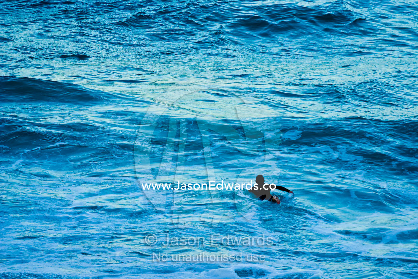 A lone surfer paddles out into a large swell in the pre-dawn light. Gunnamatta Beach, Point Nepean National Park, Victoria, Australia.
