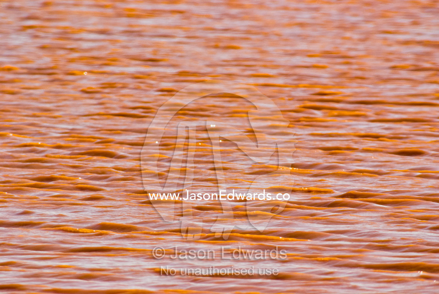 Desert winds ripple the surface of a national park water reservoir. Sturt National Park, New South Wales, Australia.