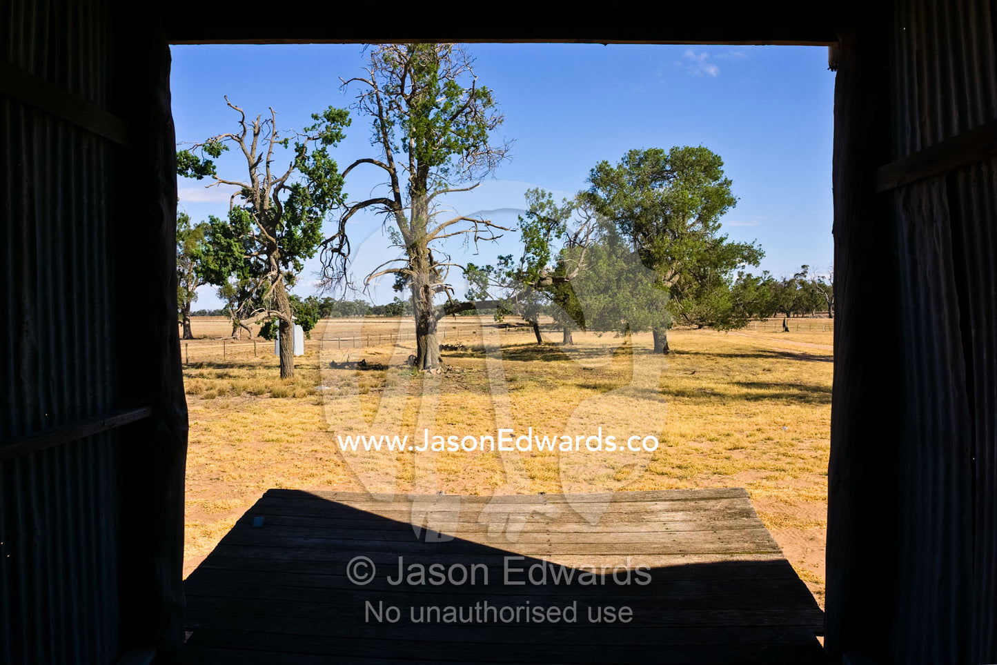 A shearing shed sheep race looks out upon drought-stricken farmland. Mundiwa Station, Deniliquin, New South Wales, Australia.