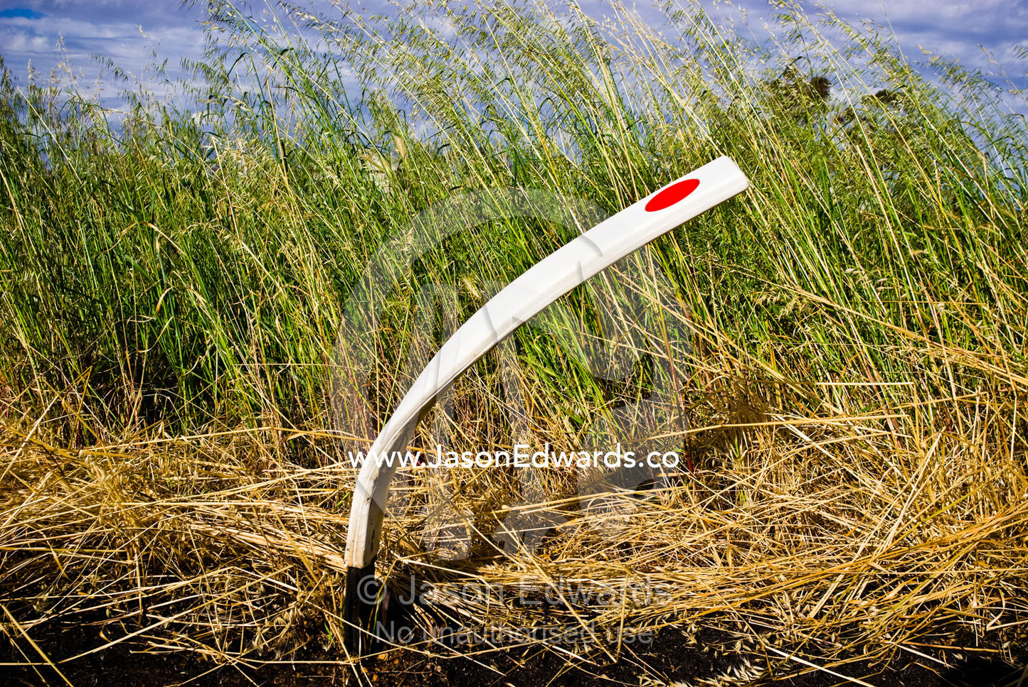 A road marker bent over by impact leans against windblown crop grasses central Victoria, Australia.