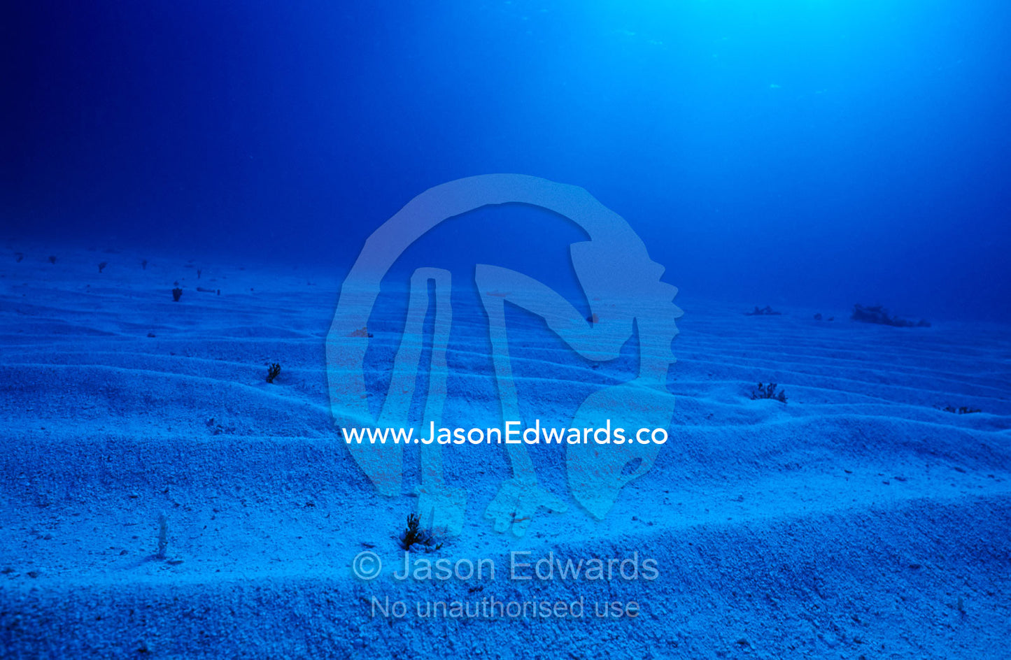 Barren waves of sand roll into the distance on a tropical ocean floor. Coral Sea, Coral Sea Plateau, Queensland, Australia.