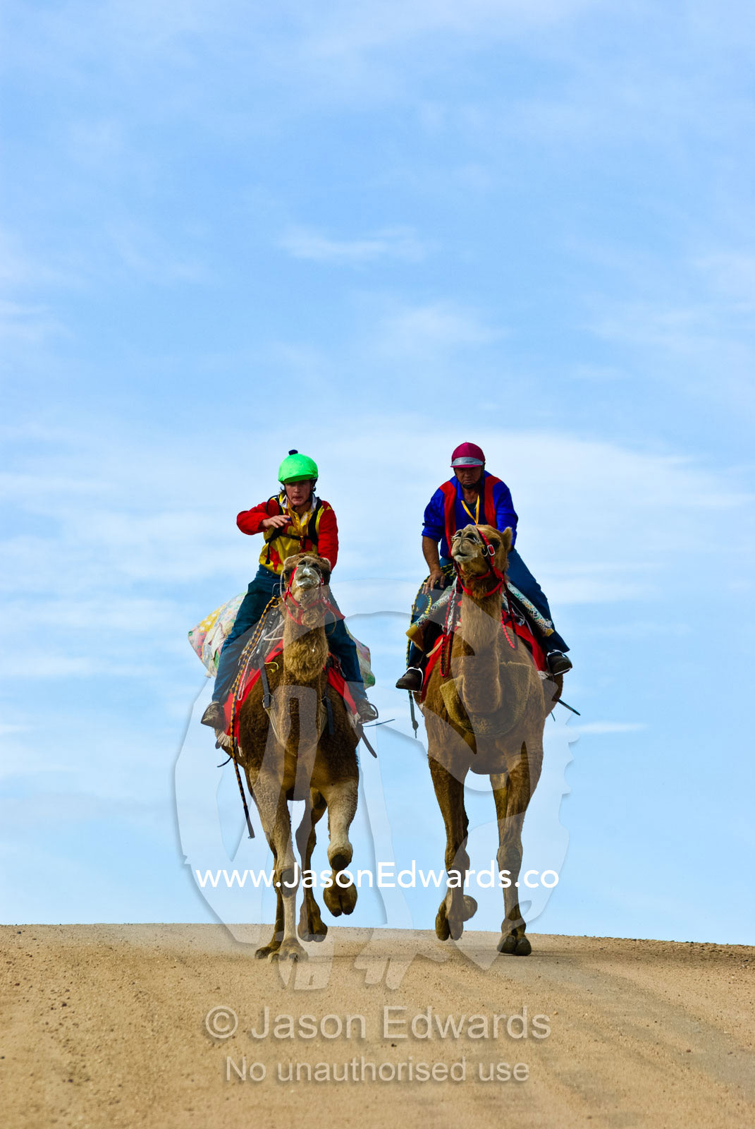 Tight competition during a camel endurance race tests man and beast. Hughenden, Queensland, Australia.