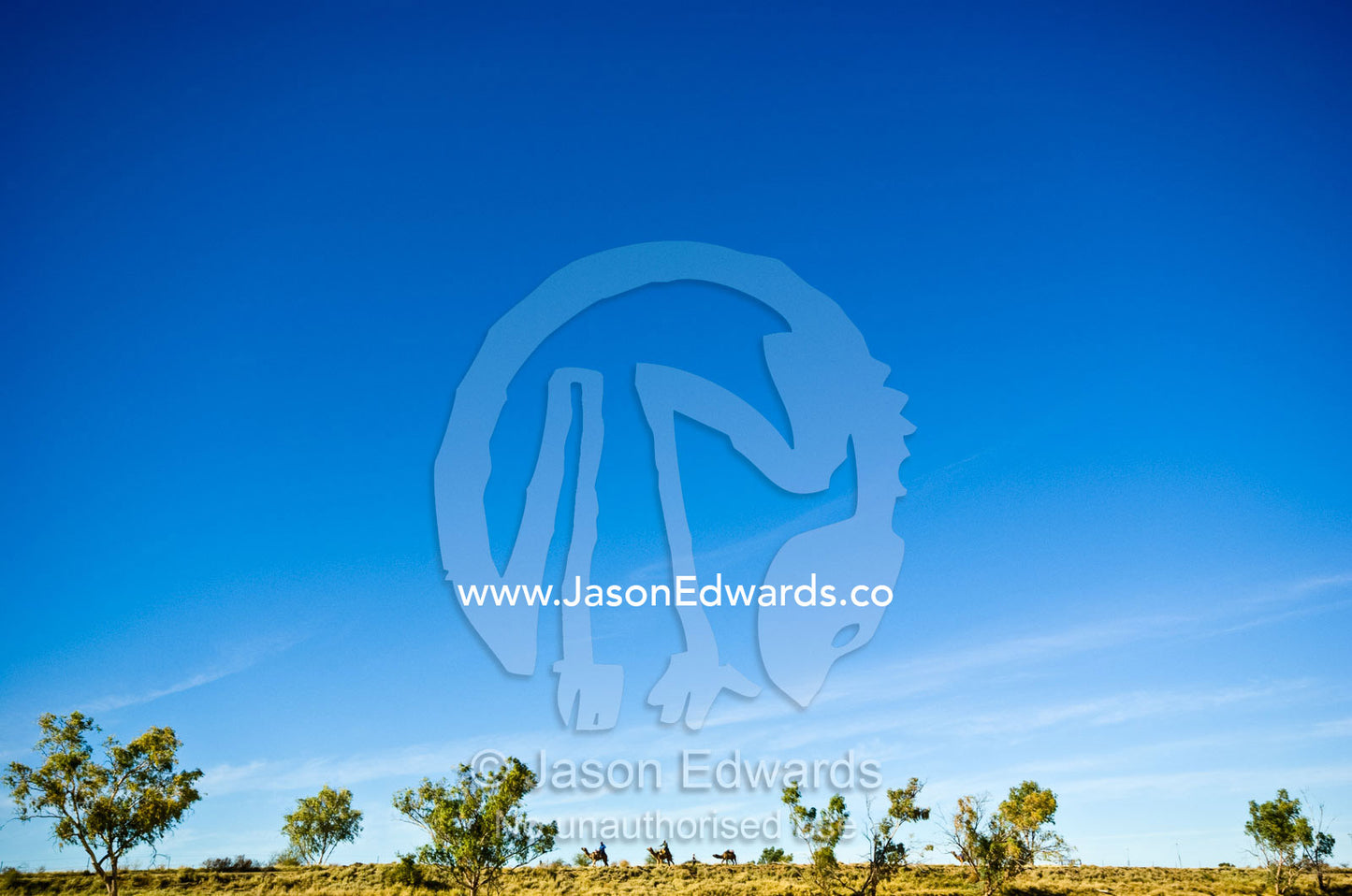 Camel jockeys march through the Outback during an endurance race. Hughenden, Queensland, Australia