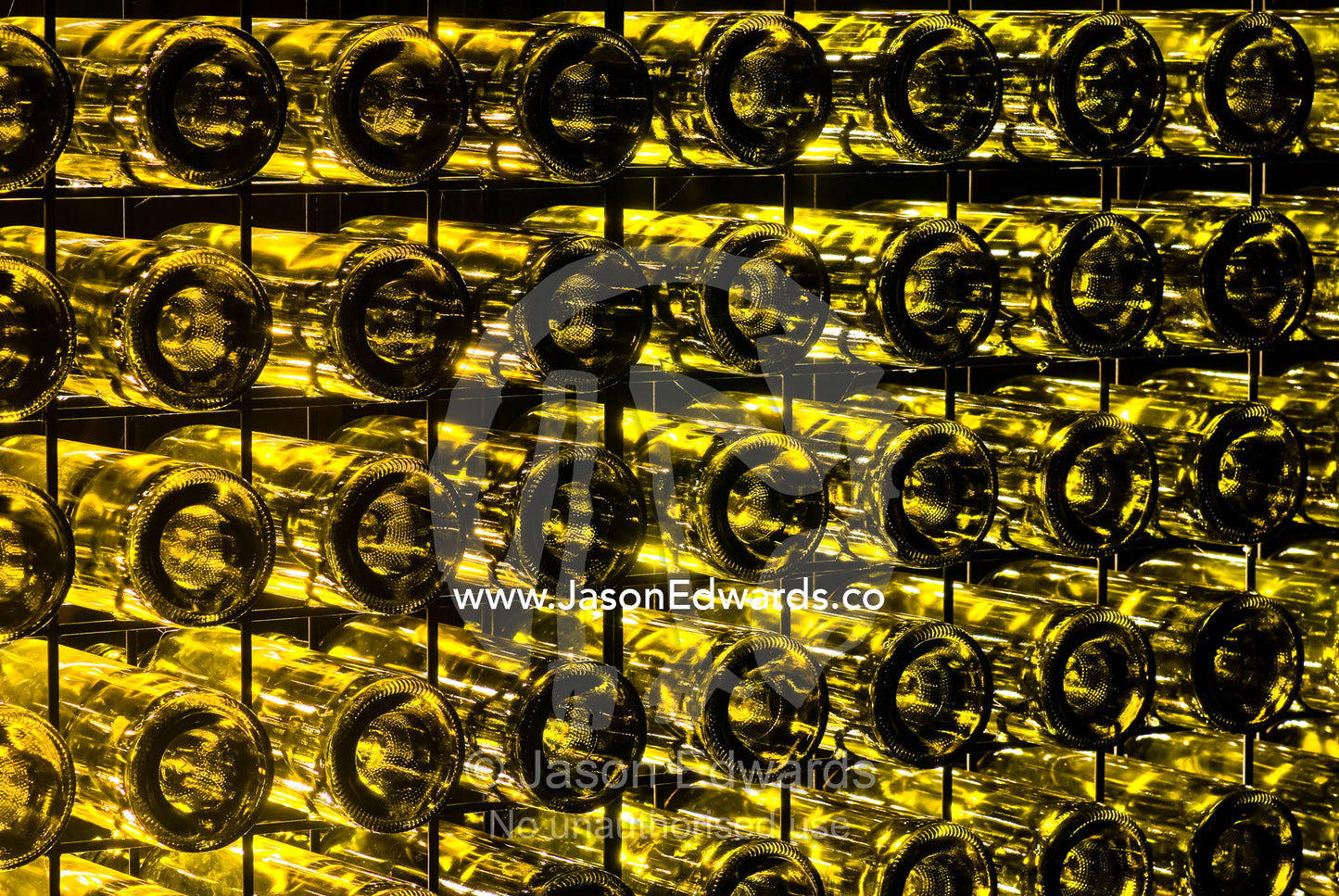 A garden wall made of recycled glass wine bottles illuminated at night Melbourne International Flower and Garden Show 2009, Carlton Gardens, Melbourne, Victoria, Australia
