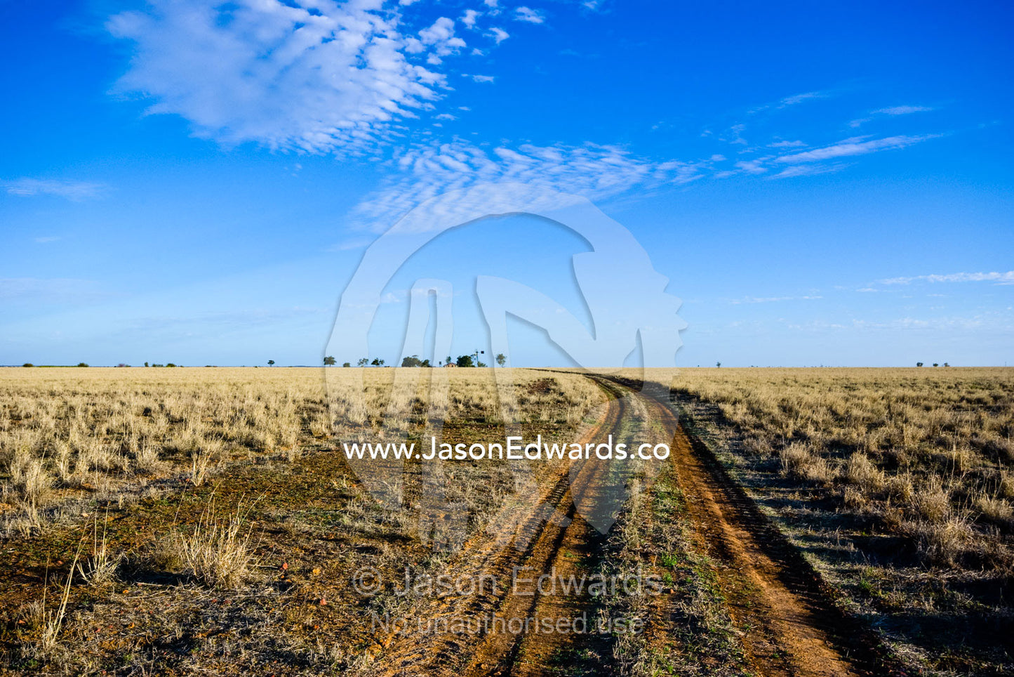 A track winds off towards the horizon across a drought-stricken farm. Cramsie Muttaburra Road, Queensland, Australia.