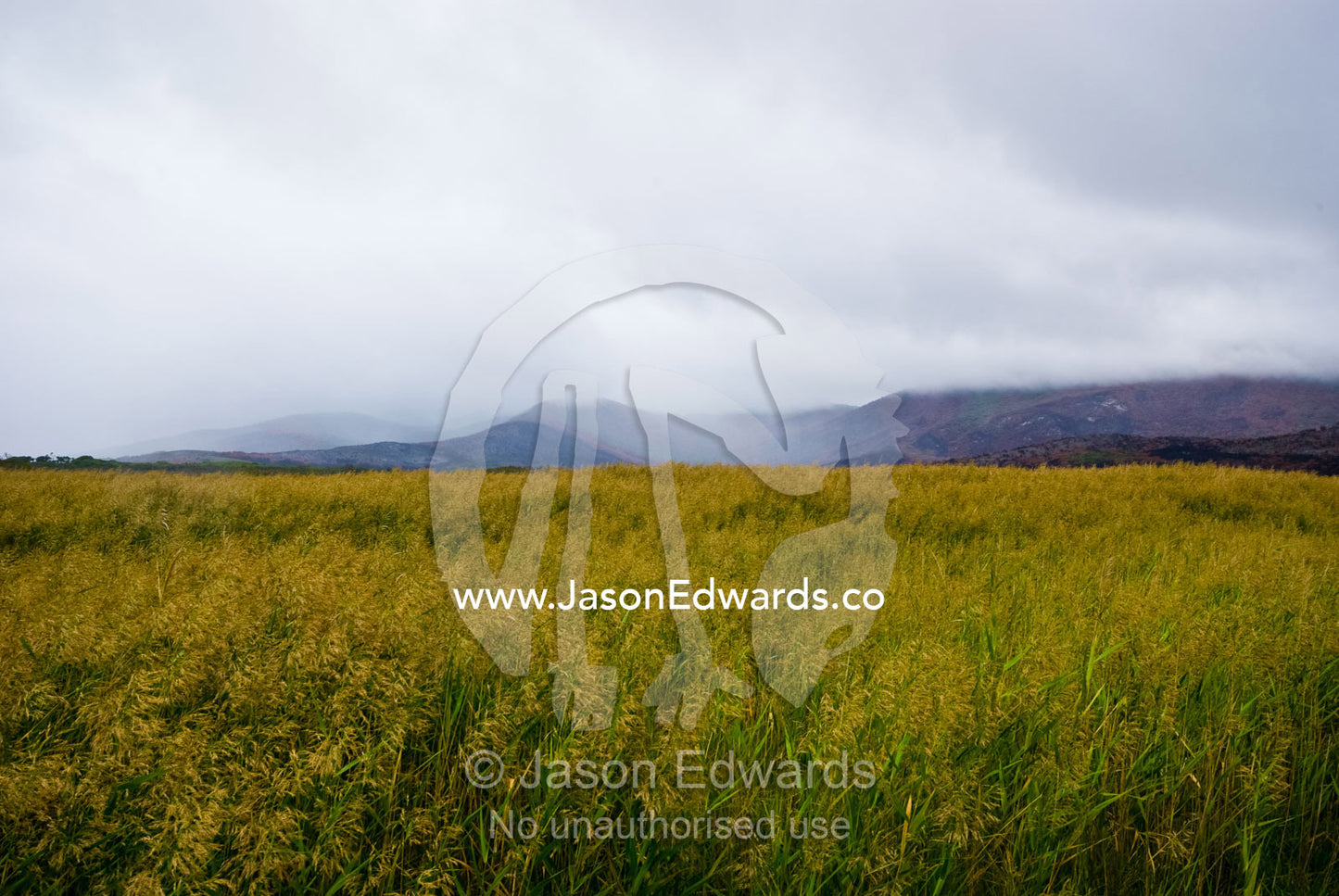 A rain storm over coastal flood plains at the foot of burnt mountains Wilsons Promontory National Park, Victoria, Australia