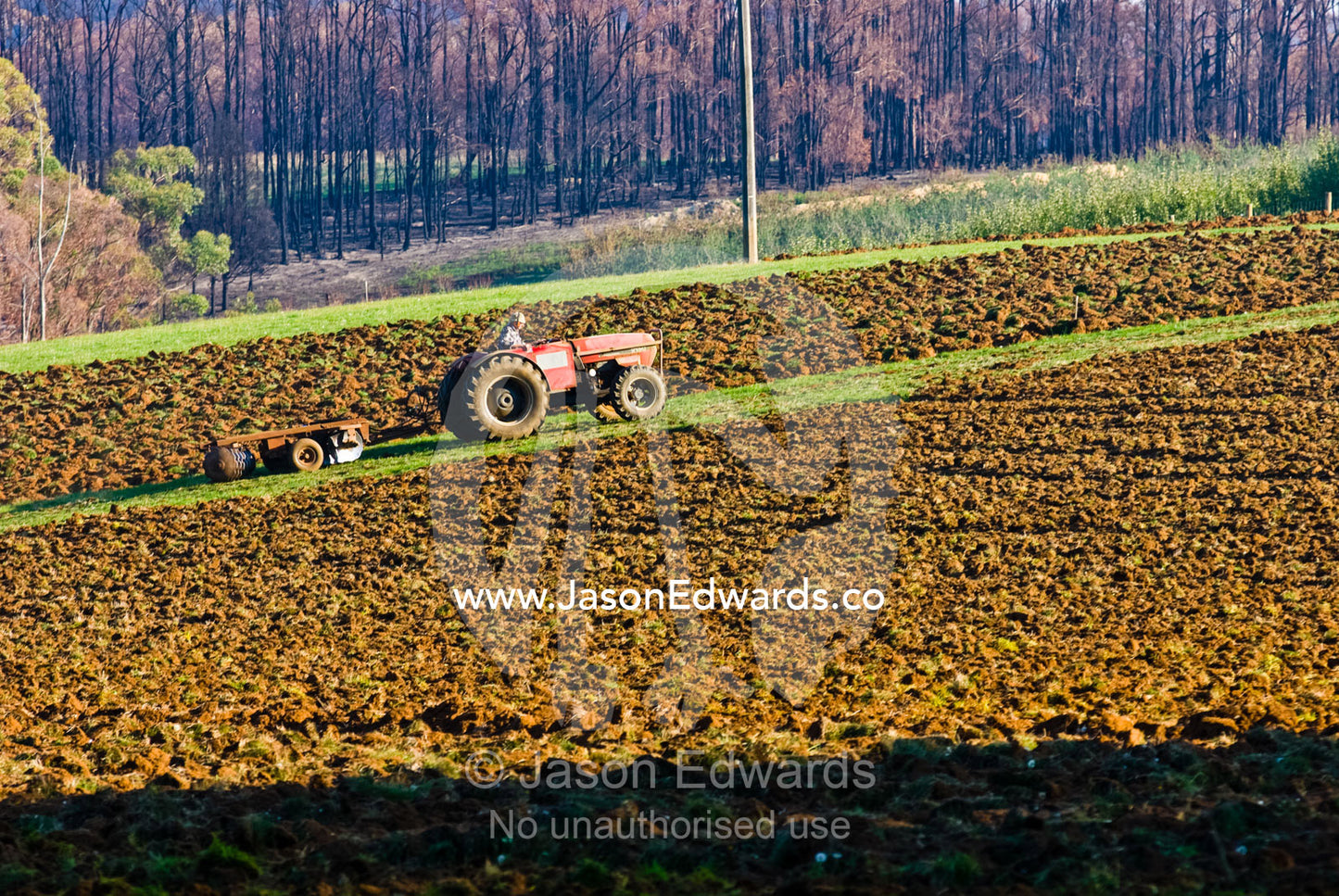 A farmer ploughs his fields beneath a back-drop of fire ravaged forest Kinglake Central, Victoria, Australia