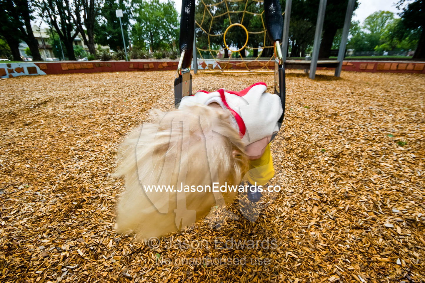 A young blonde boy spins in circles on a swing in a community park. Carlton North, Victoria, Australia