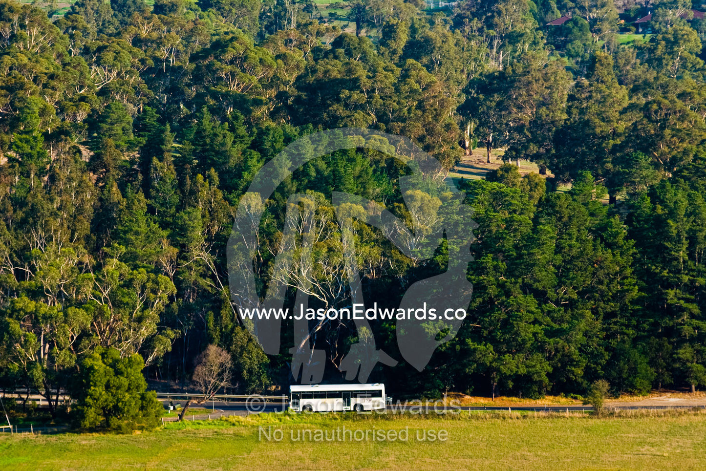 A school bus travels along a country road taking students home. Near Humevale, Kinglake National Park, Victoria, Australia