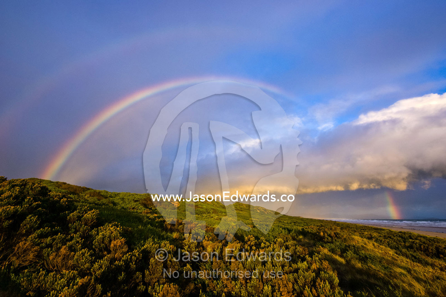 A rainbow crests a sand dune covered in Coastal Heath at sunset. Waratah Bay, Victoria, Australia.