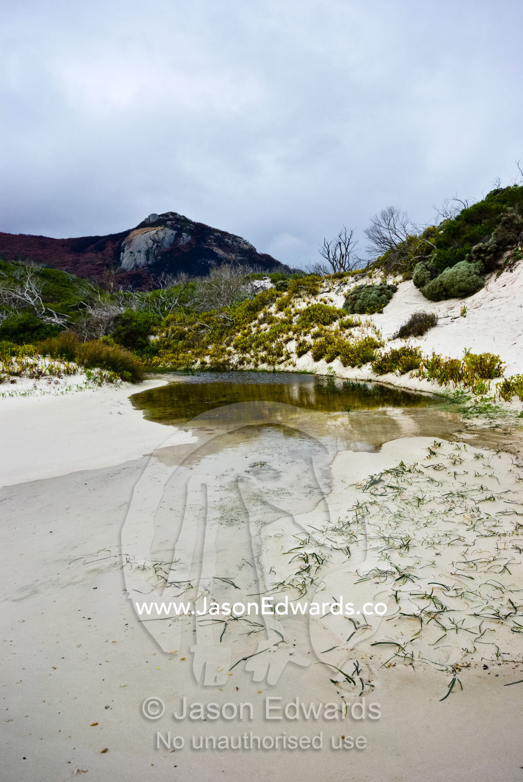 A small tidal inlet flows between sand dunes on a remote beach. Mount Bishop, Leonard Bay, Wilsons Promontory National Park, Victoria, Australia.