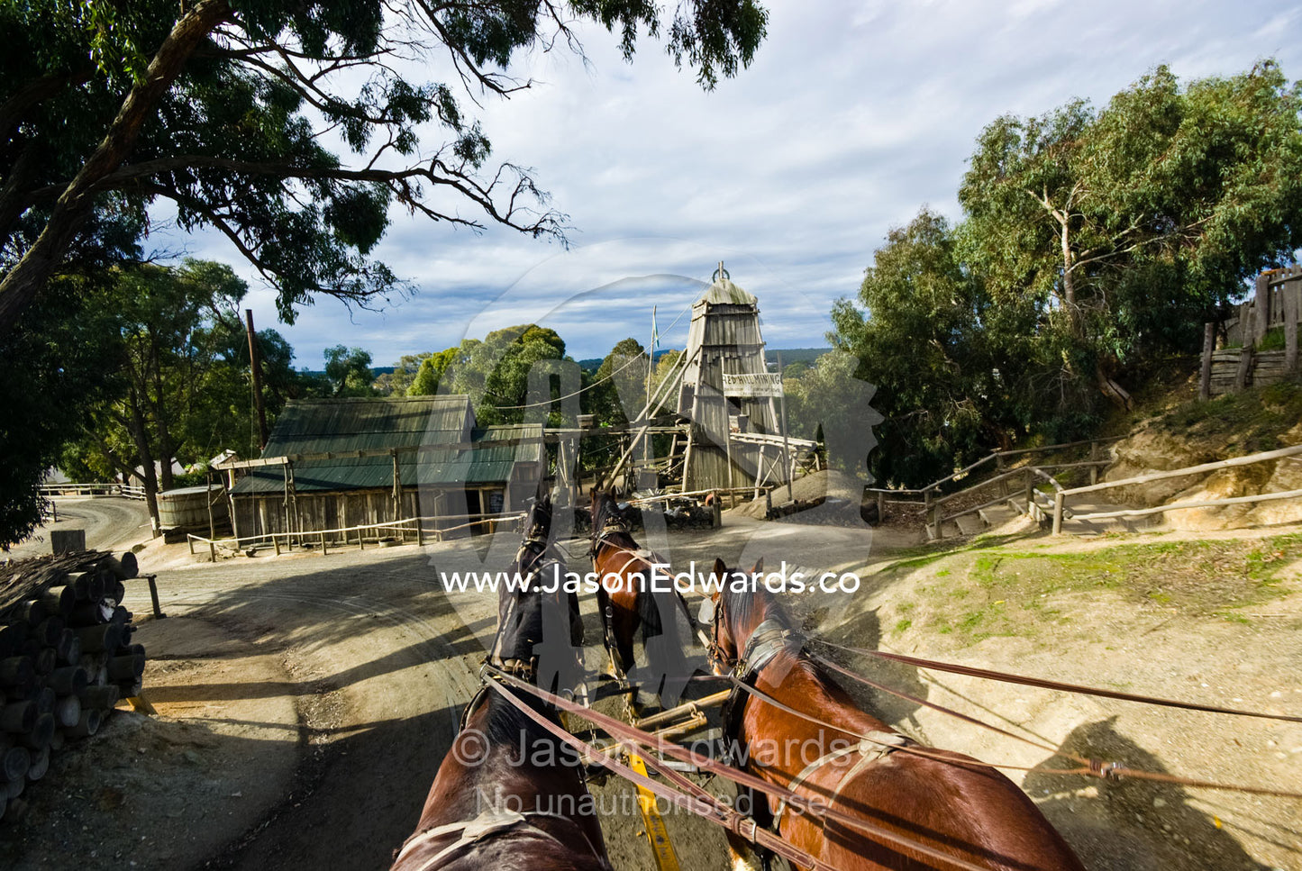 A team of Clydesdale horses pull a stagecoach in a gold mining town. Ballarat, Victoria, Australia.