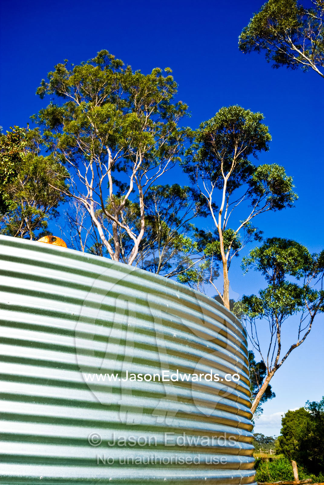 A corrugated stainless steel water tank surrounded by eucalyptus trees Werribee Open Range Zoo, Werribee, Victoria, Australia