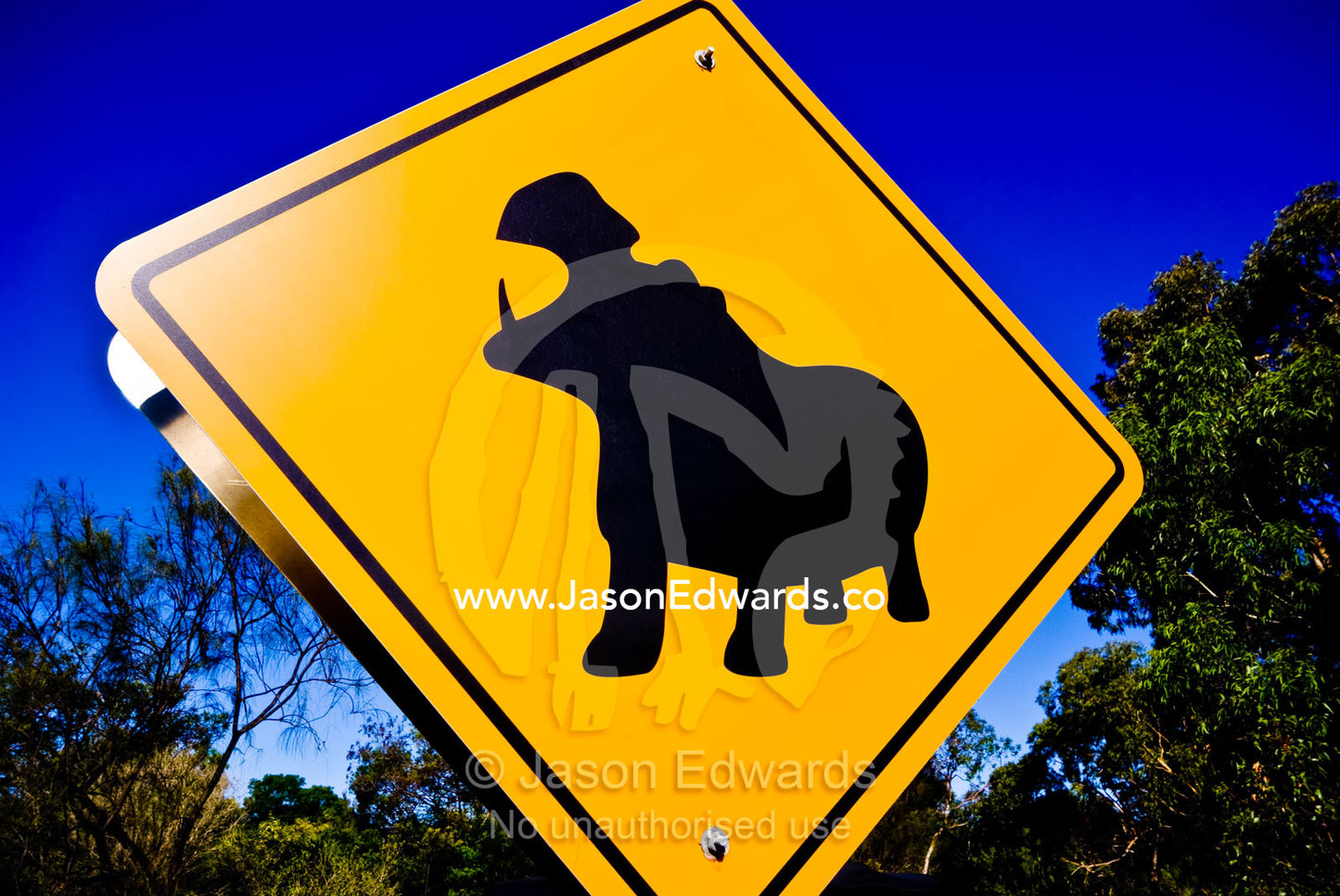 A colorful yellow road sign warns of danger from Nile Hippopotamus. Werribee Open Range Zoo, Werribee, Victoria, Australia