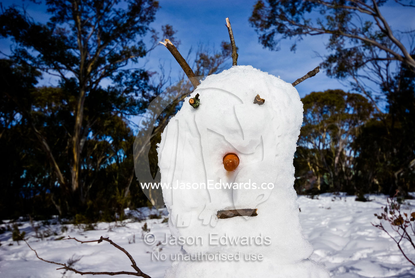 A snowman with a carrot for a nose and twigs for hair and a mouth. Dinner Plain, Great Dividing Range, Victoria, Australia