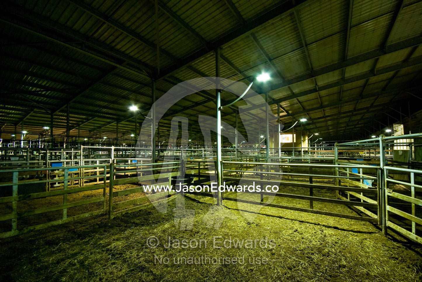 Empty corrals in cattle sale yards at night awaiting stock arrival. Koonwarra Saleyards, Koonwarra, South Gippsland, Victoria, Australia