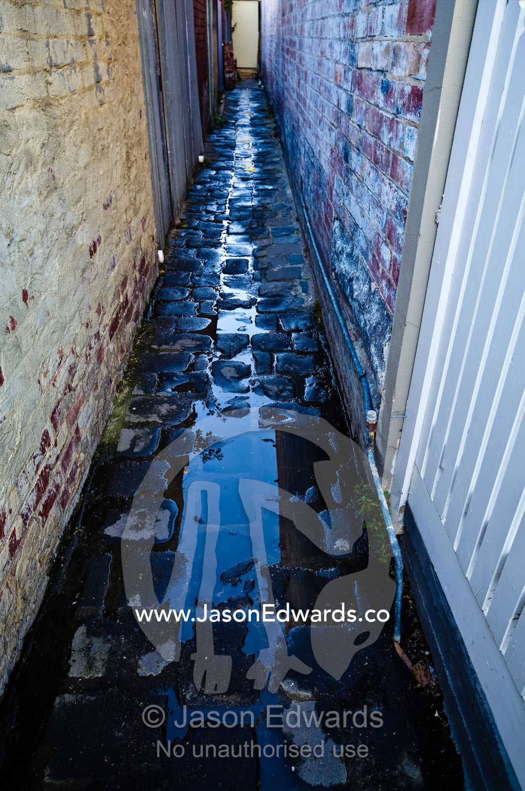 Pools of water gather in a bluestone alley between inner city houses. Carlton North, Victoria, Australia
