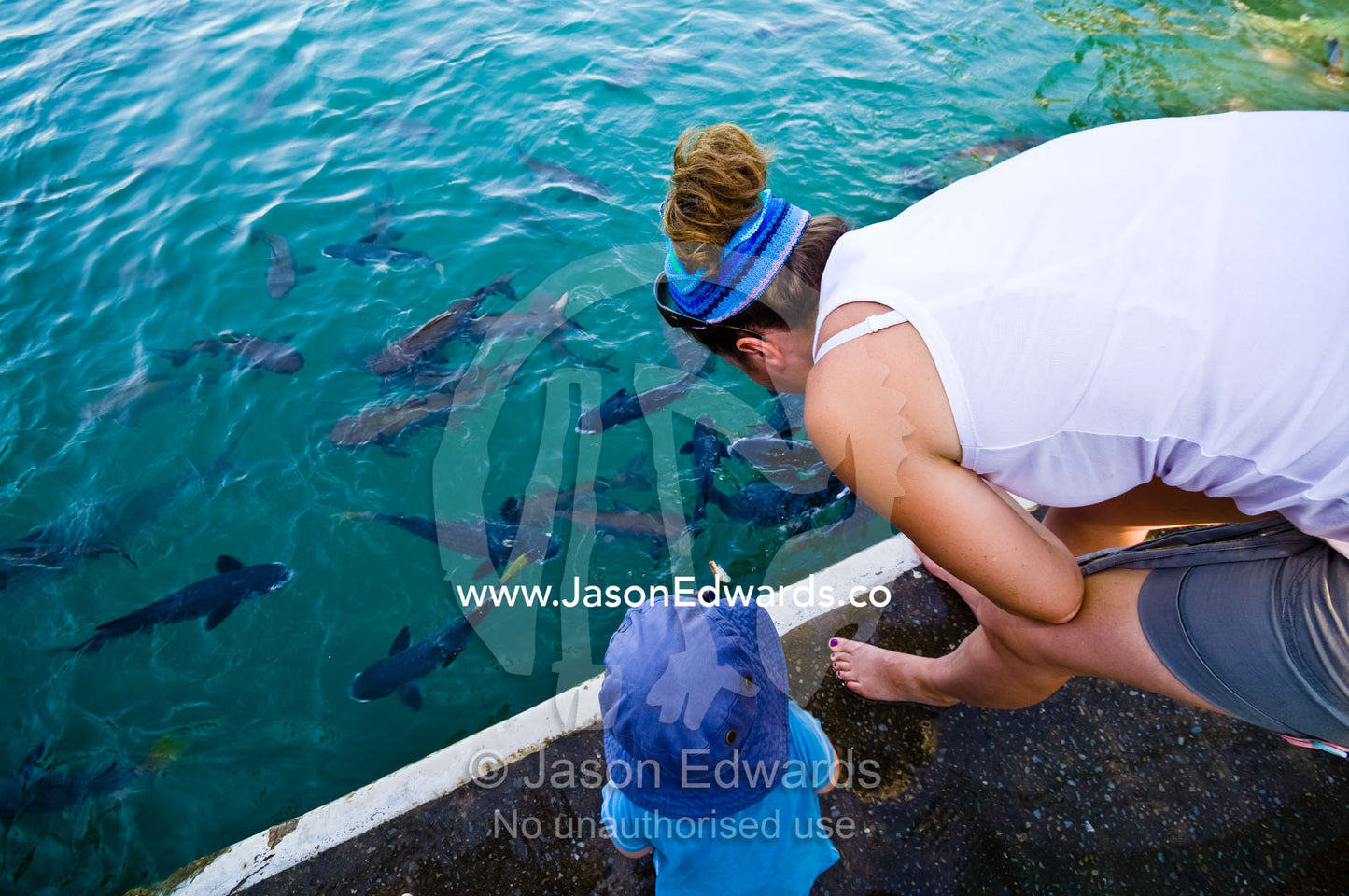 A mother and son feed Diamond-scale Mullet from a viewing platform. Aquascene, Doctors Gully, Darwin, Northern Territory, Australia