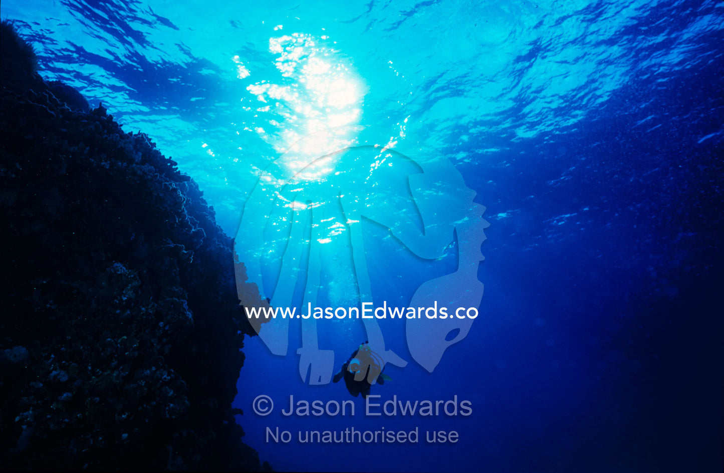 A scuba diver with a digital video camera explores a tropical reef. Coral Sea, Queensland, Australia