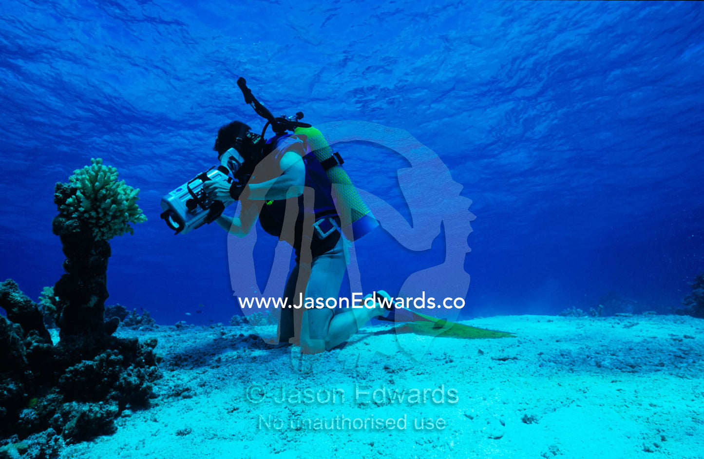A scuba diver with a digital video camera films a tropical reef. Coral Sea, Queensland, Australia