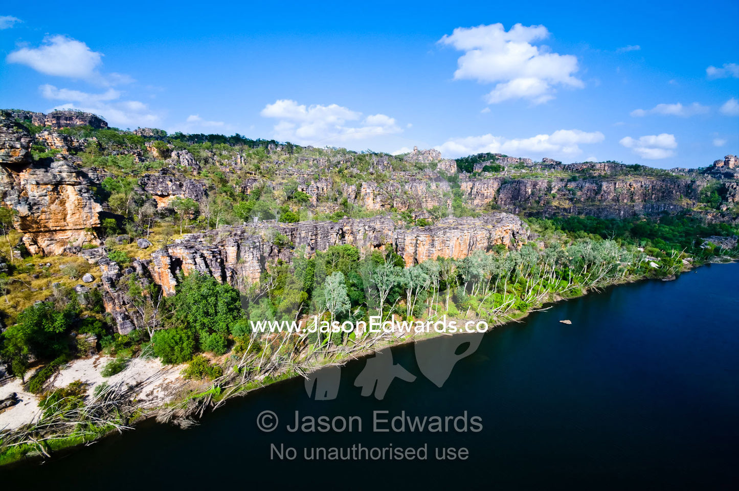 River floodwaters push trees over along the base of a sandstone cliff. East Alligator River, Arnhem Land Border, Kakadu National Park, Northern Territory, Australia