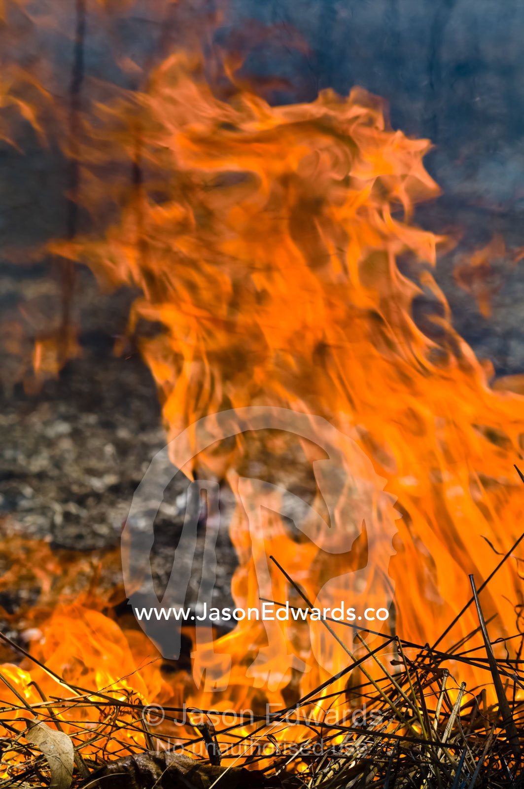 Searing flames burn through tropical grasslands and Open Woodland. Kakadu National Park, Northern Territory, Australia.
