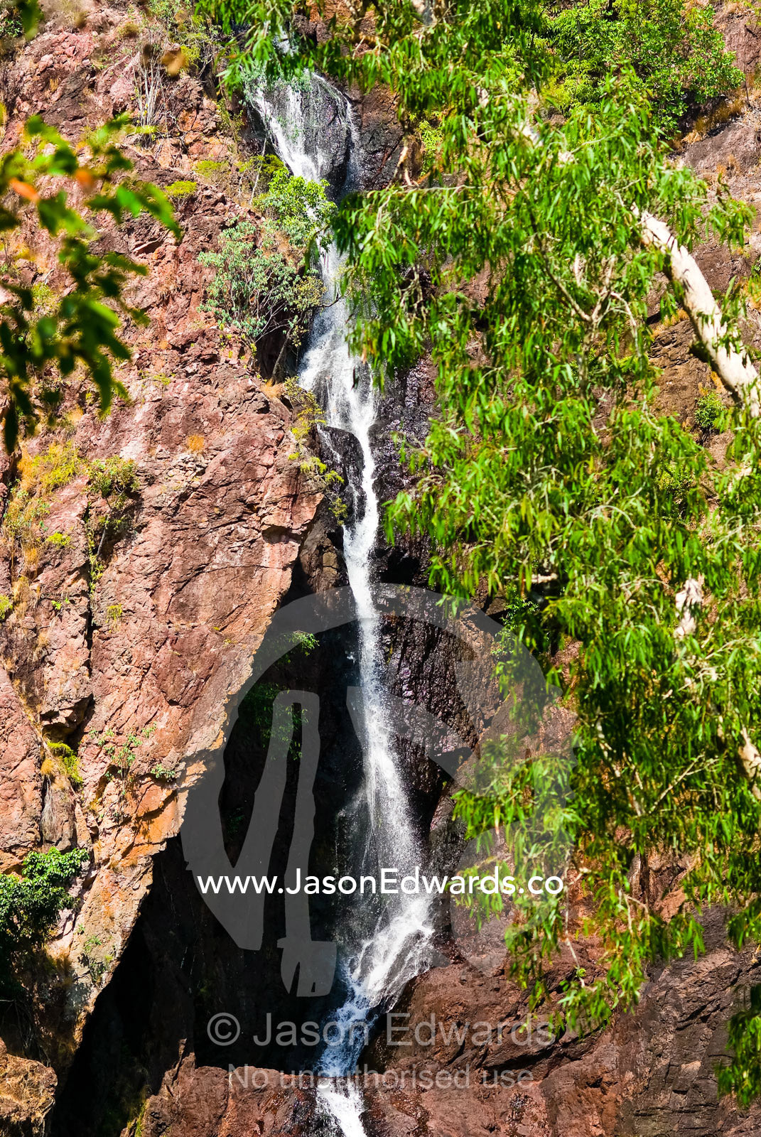 A waterfall cascades down a cliff face from a sandstone escarpment. Wangi Falls, Litchfield National Park, Northern Territory, Australia.