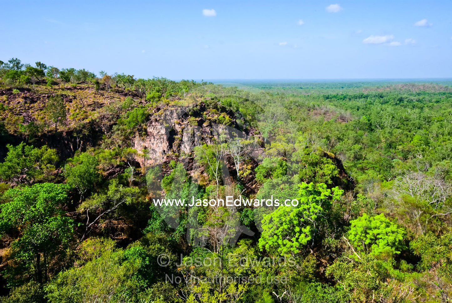 A small patch of monsoon vine thicket near tropical savanna woodland. Tolmer Falls, Litchfield National Park, Northern Territory, Australia.