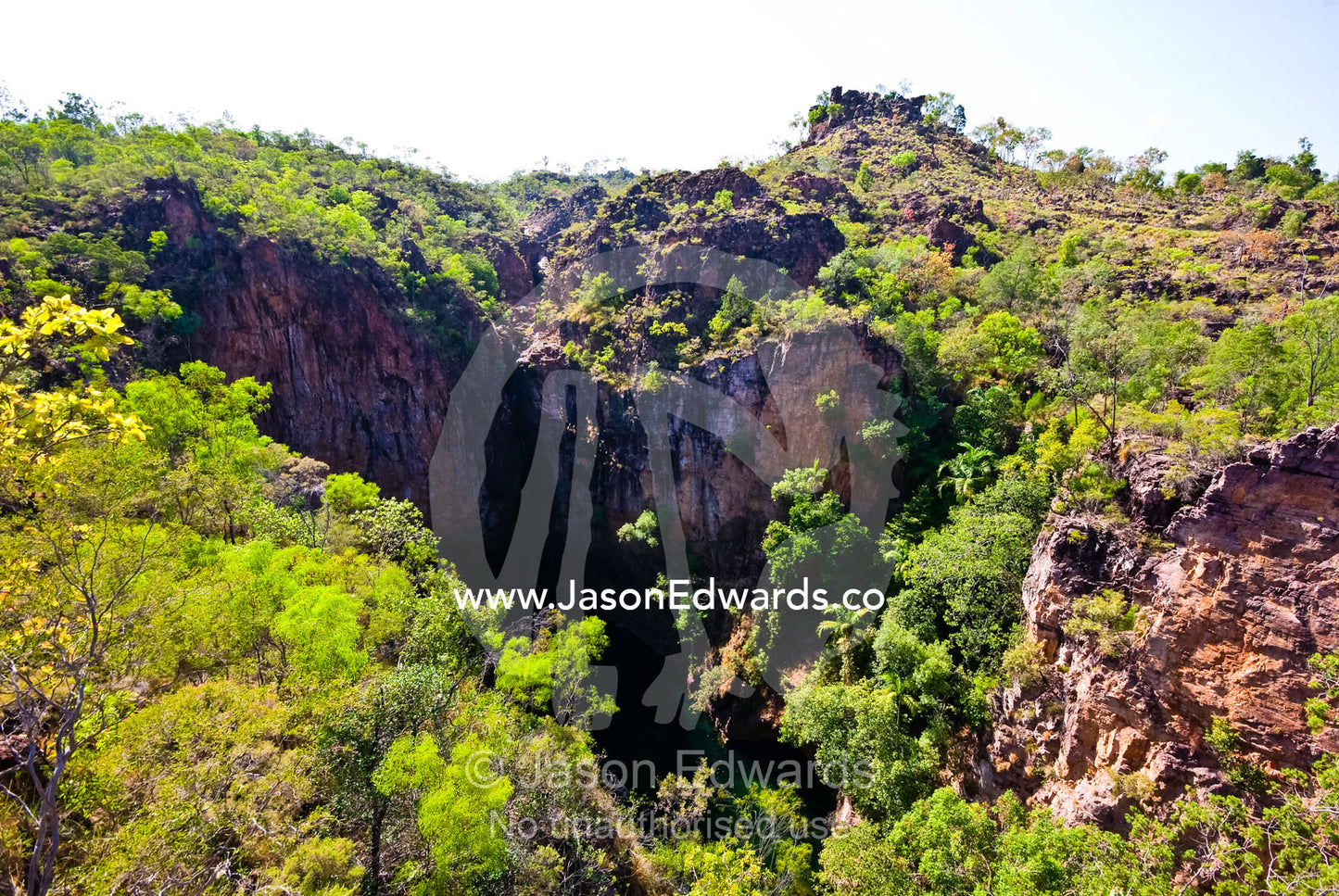 A small patch of monsoon vine thicket surrounding a sandstone gorge. Tolmer Falls, Litchfield National Park, Northern Territory, Australia.