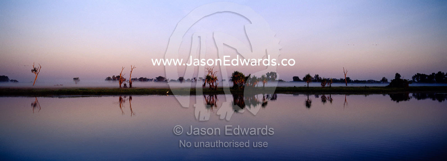 The reflection of trees in a calm mist shrouded billabong before dawn. Yellow Water Billabong, Jim Jim Creek, South Alligator River, Kakadu National Park, Northern Territory, Australia.