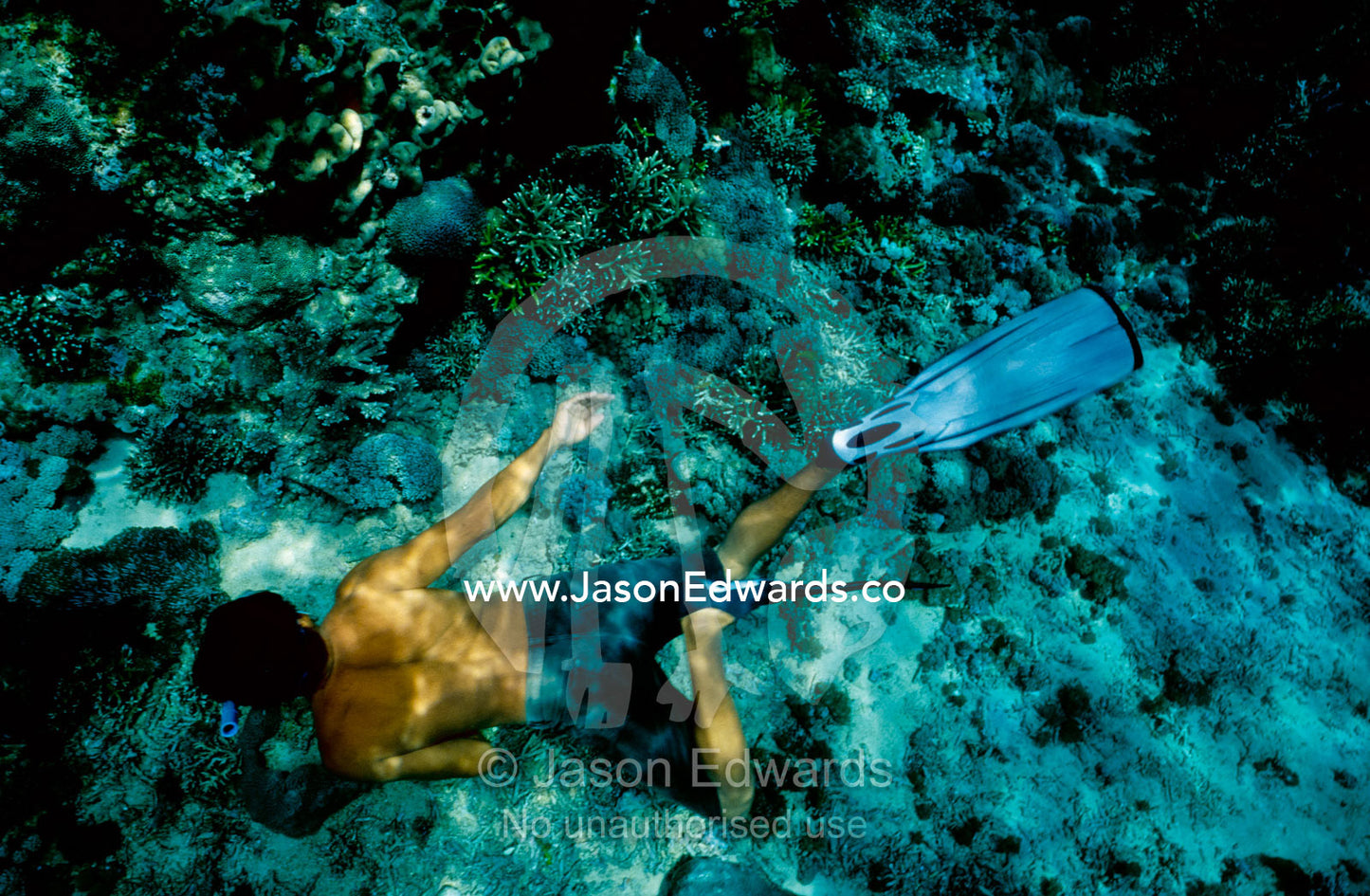 A free-diver skims over a tropical coral reef using fins and snorkel. Lombok Strait, Nusa Lembongan, Bali, Indonesia.