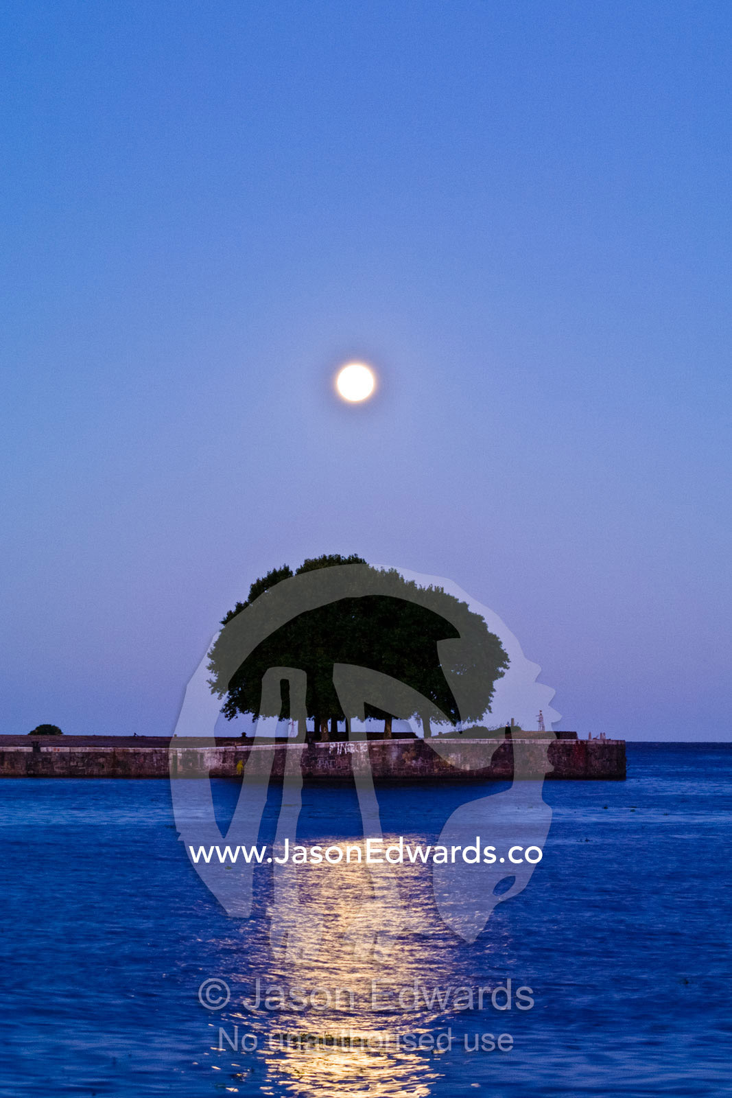 A pastel moonrise and reflection over a tree-lined river harbour wall. R��o de la Plata, River of Silver, Puerto Madero, Buenos Aires, Argentina.