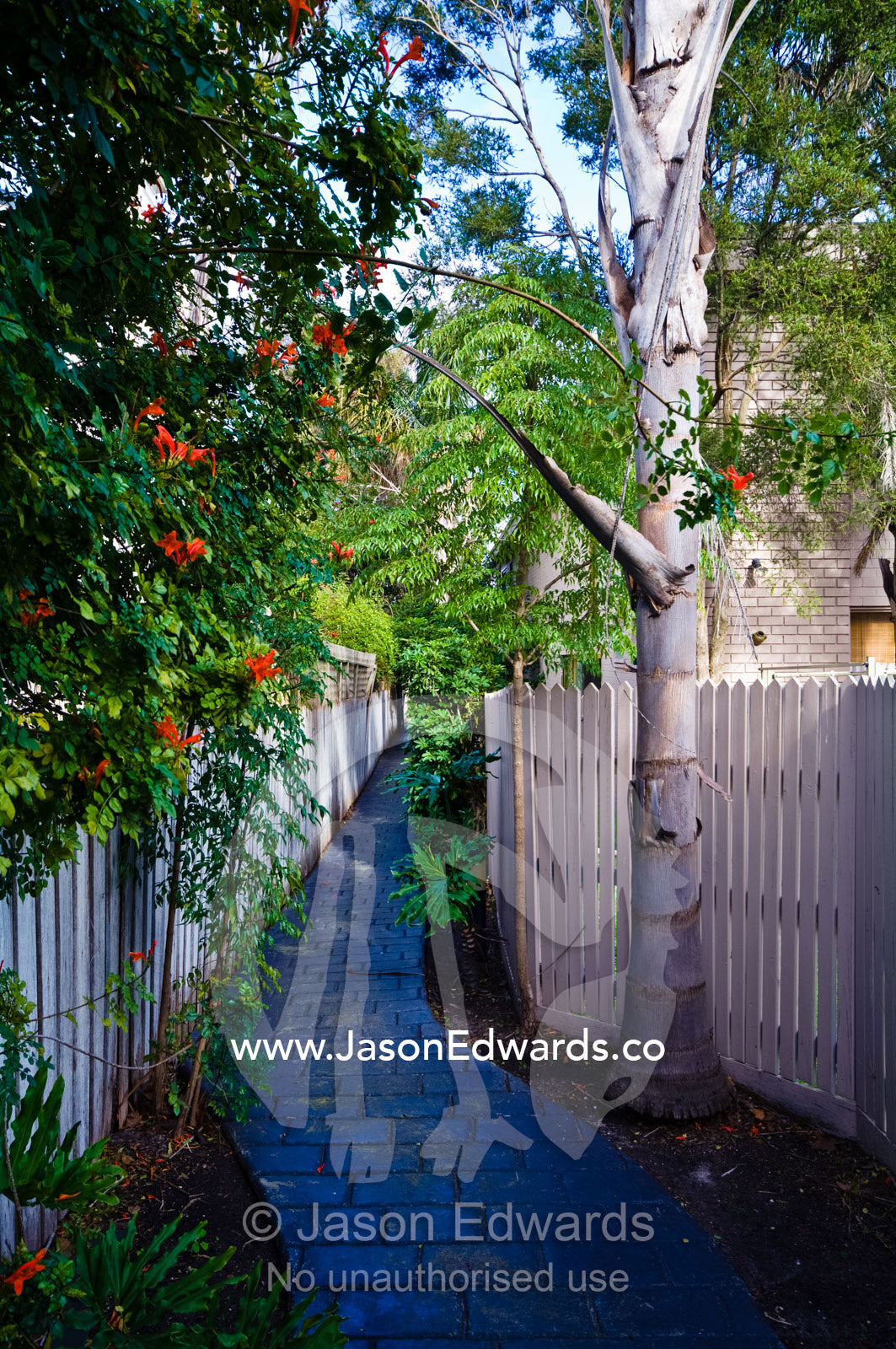 A paved bluestone garden path in an inner city apartment block. Hawthorn East, Melbourne, Victoria, Australia.
