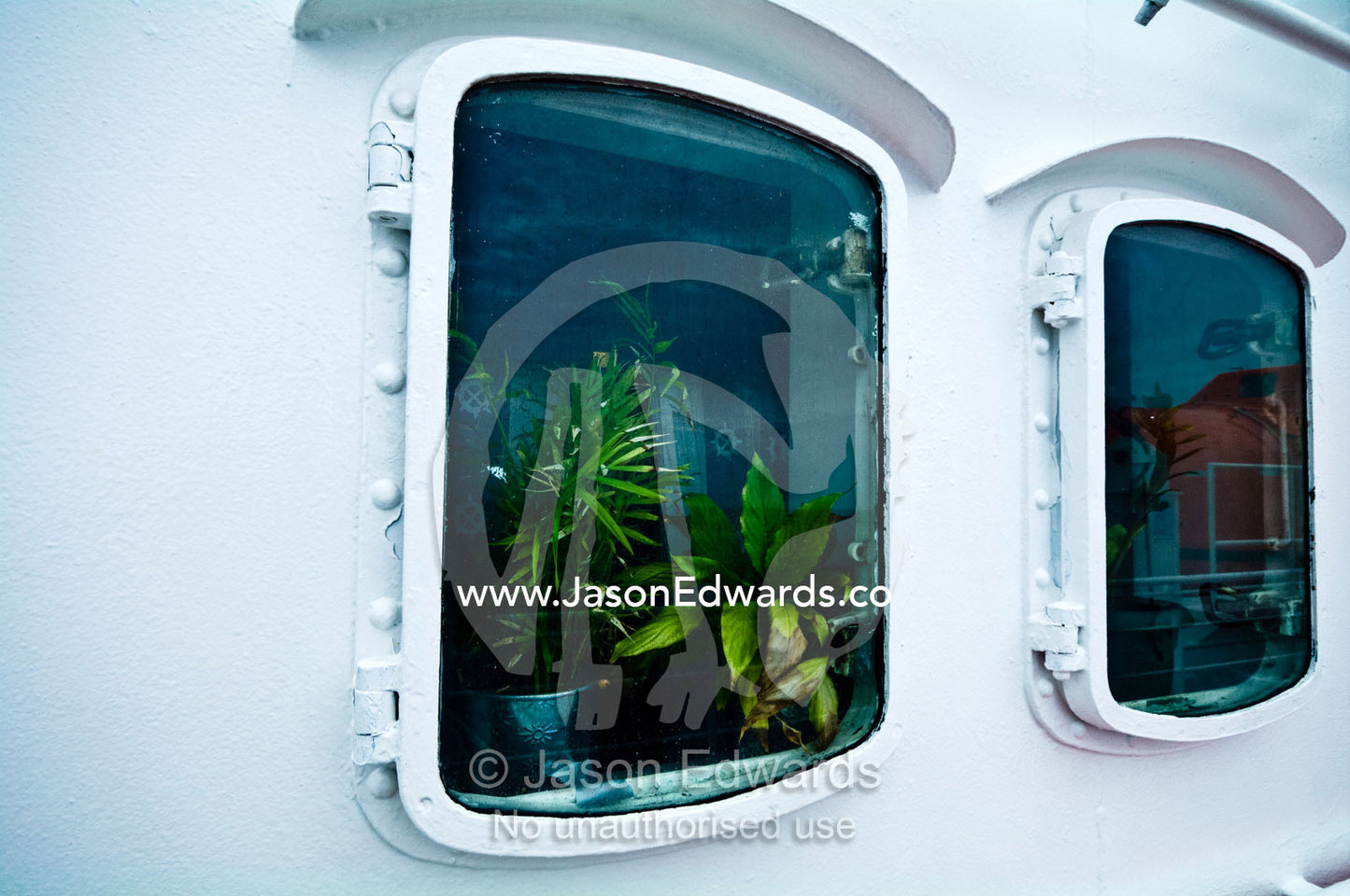 Indoor plants growing on the windowsill of an Antarctic ships porthole The Drake Passage between the Atlantic Ocean and Pacific Ocean.