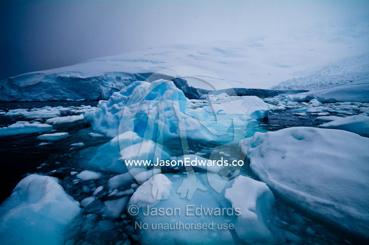 Icebergs crowd together where they are trapped in a small island bay. Crystal Sound, Hansen Island, Hanusse Bay, Antarctic Peninsula, Antarctic Circle, Antarctica.