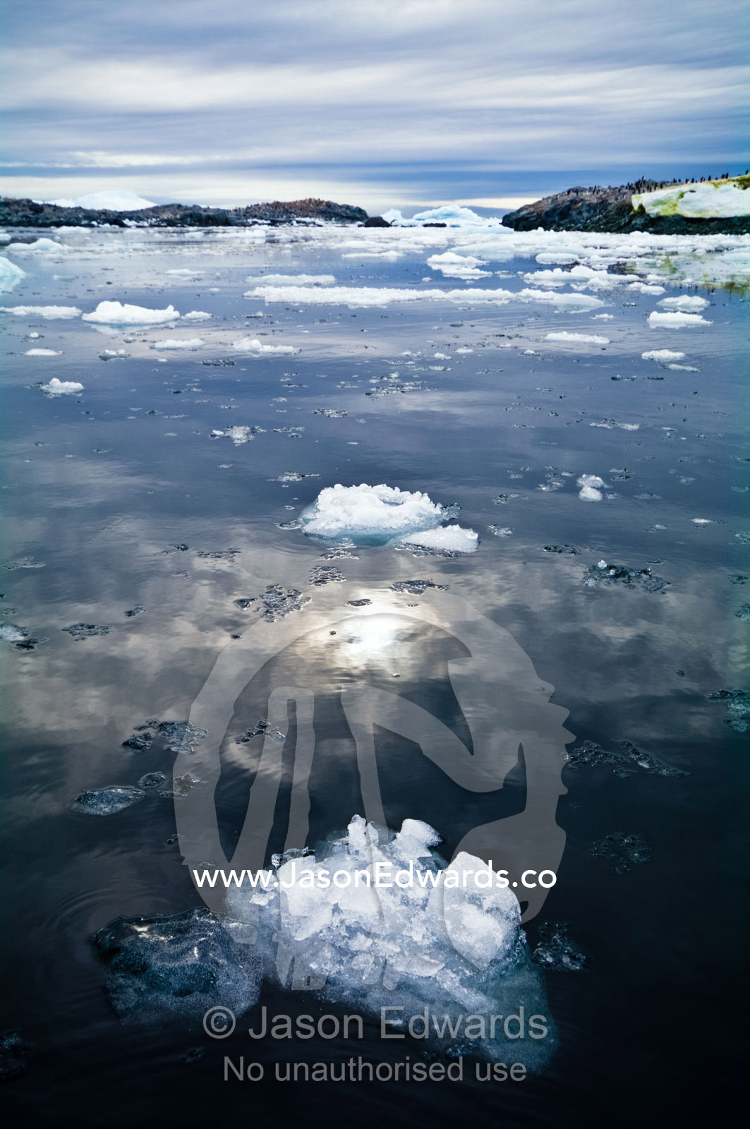 Sunlight reflected off the calm ocean surface and crushed ice flows. Fish Islands, Flouder Island, The Minnows, Crystal Sound, Antarctic Peninsula, Antarctic Circle, Antarctica.