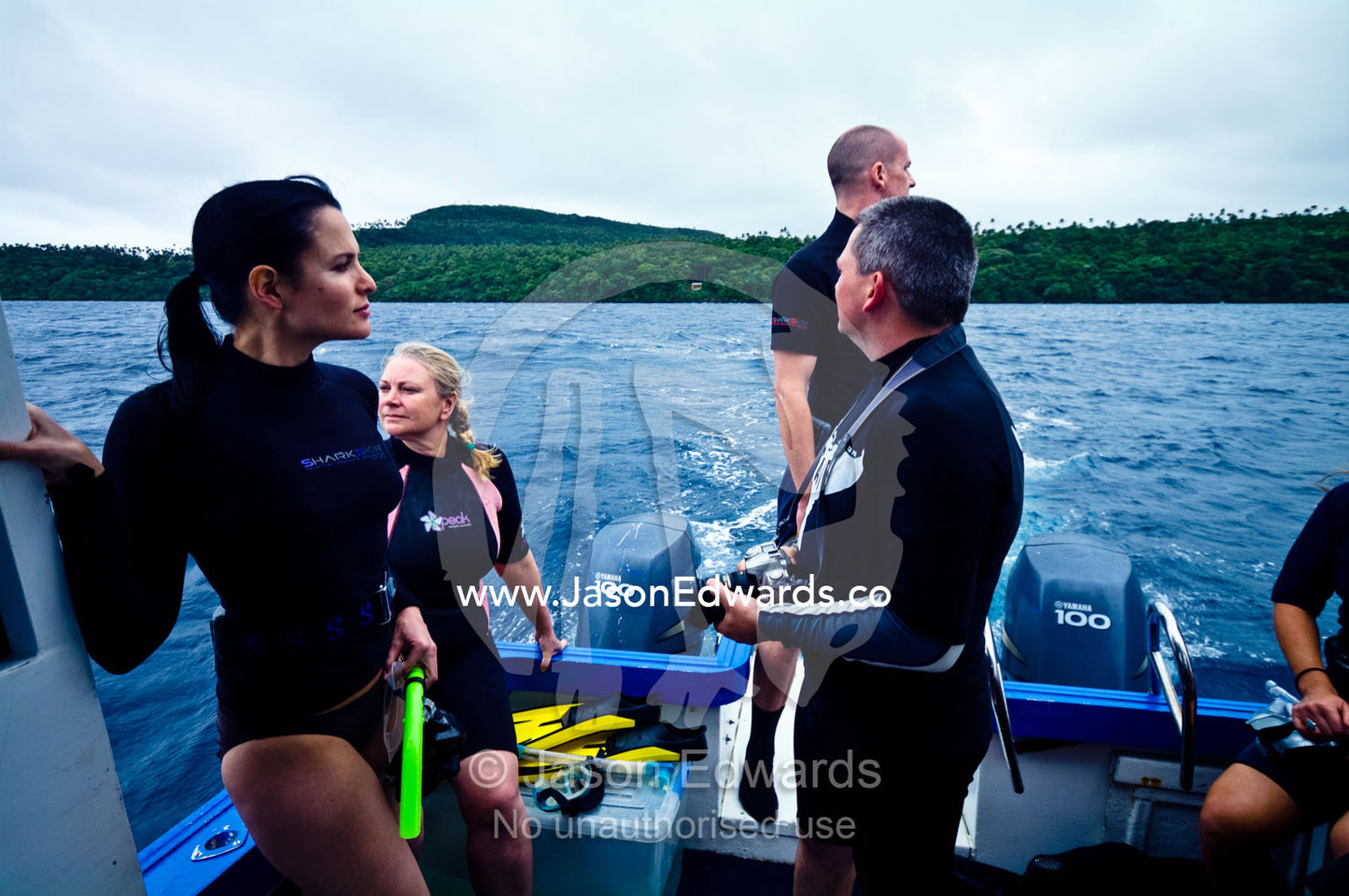 A group of researchers scout the ocean for Humpback Whale from a boat. Vava'u Island Group, Pacific Ocean, Oceania, Kingdom of Tonga.