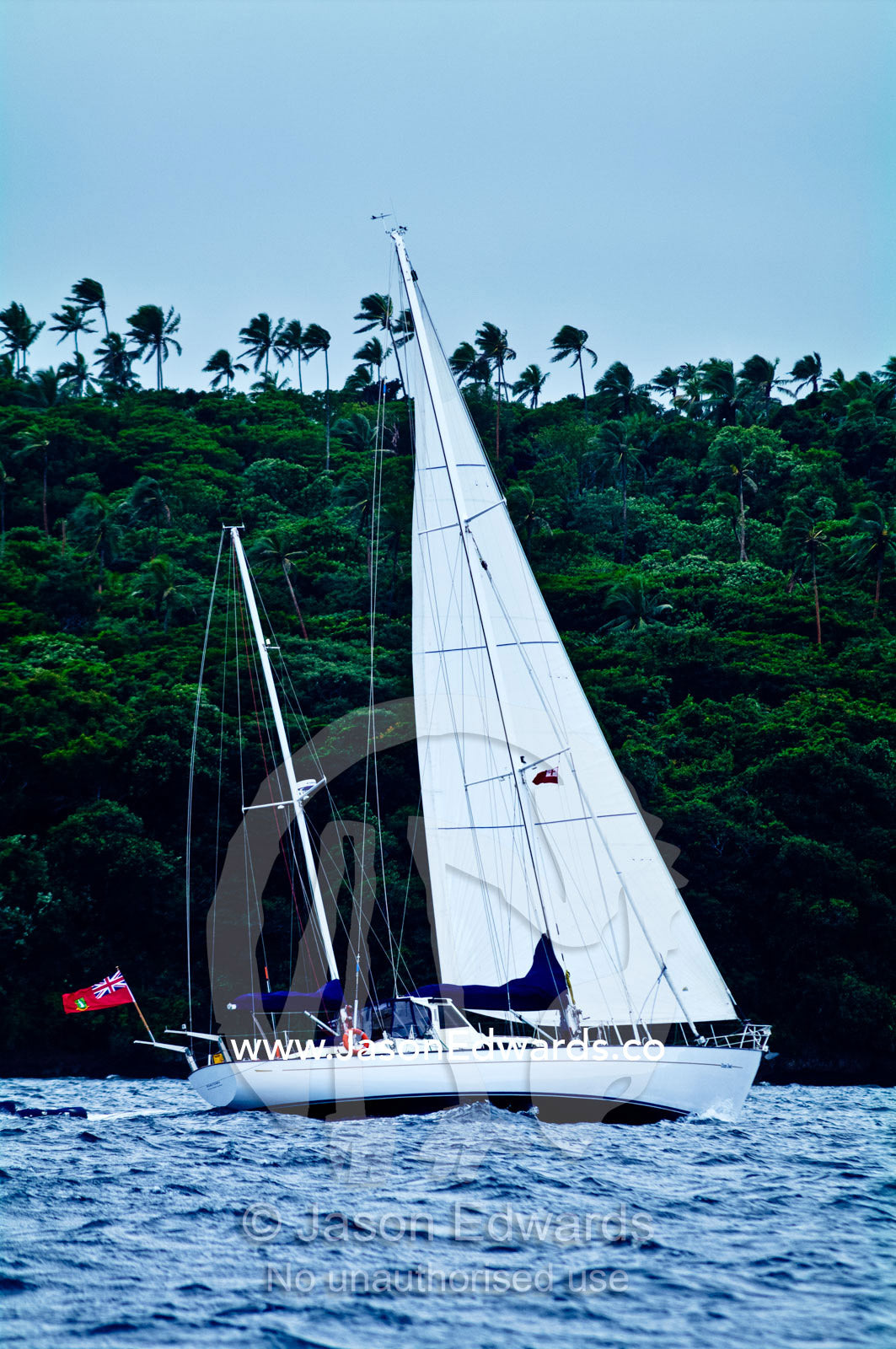 An ocean yacht sails past a lush tropical island under a strong wind. Vava'u Island Group, Pacific Ocean, Oceania, Kingdom of Tonga.