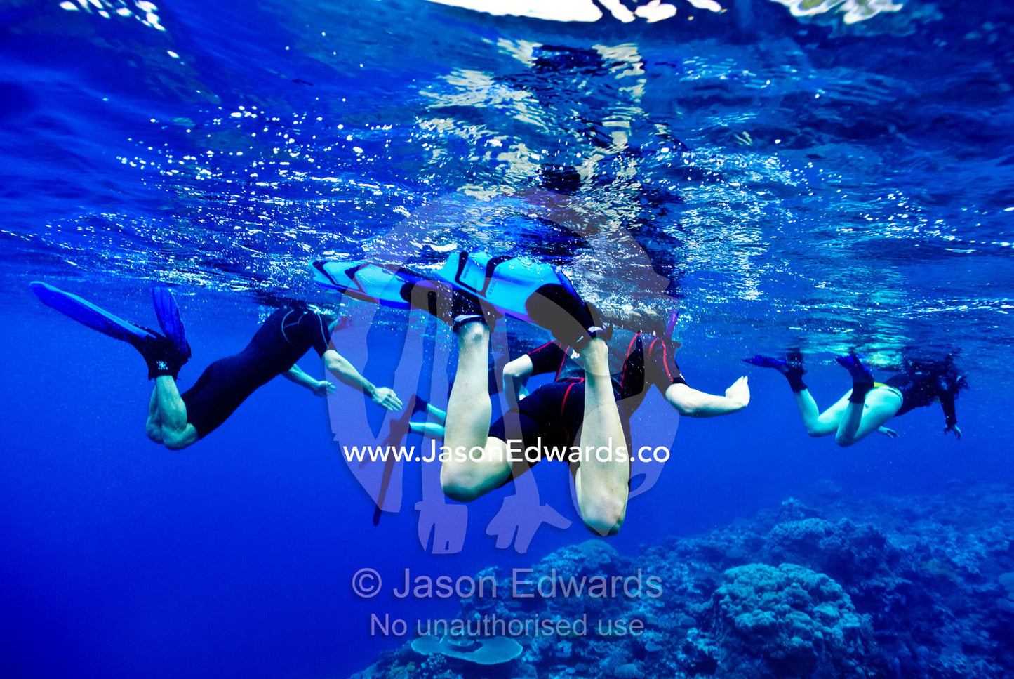 Snorkelers float on the ocean surface over a coral reef. Vava'u Island Group, Pacific Ocean, Oceania, Kingdom of Tonga.