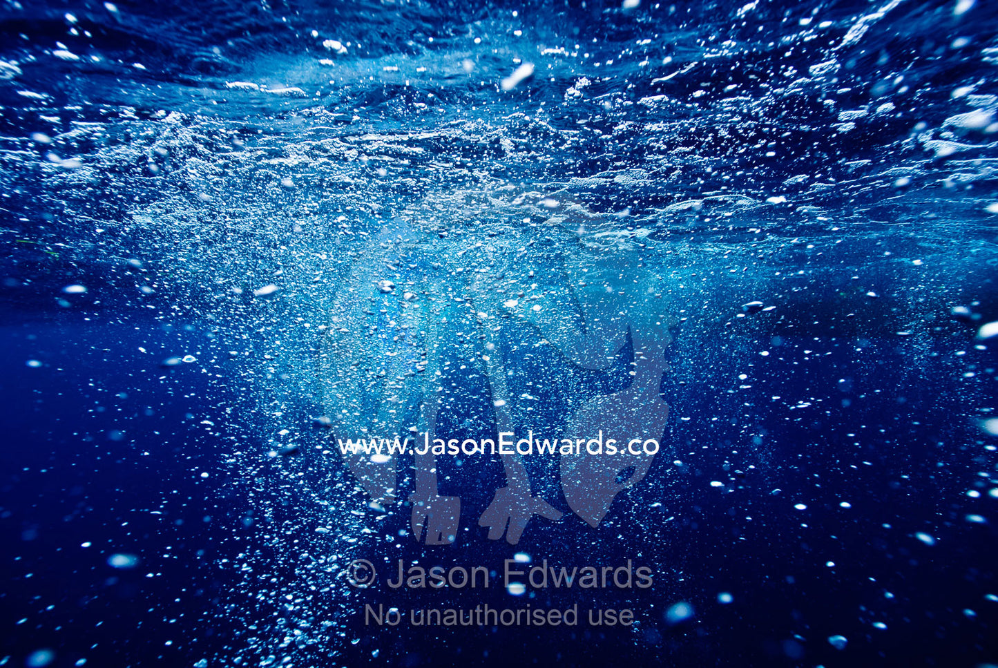 A cascade of bubbles floats to the surface of a tropical blue ocean. Vava'u Island Group, Pacific Ocean, Oceania, Kingdom of Tonga.