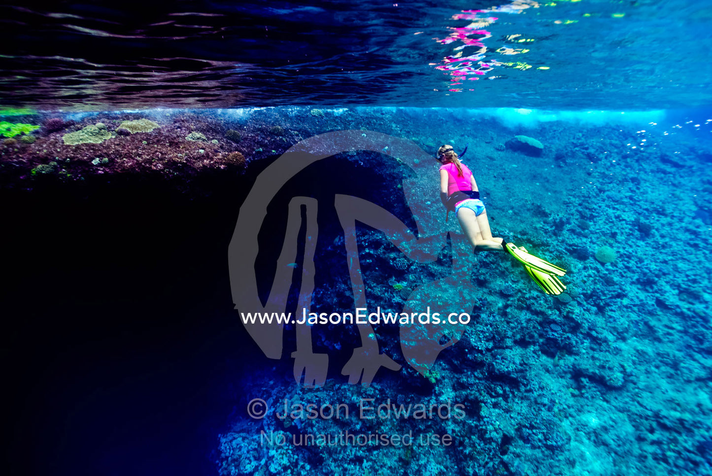 A snorkeler tentatively examines the entrance to an underwater cave. Mariner's Cave, Vava'u Island Group, Pacific Ocean, Oceania, Kingdom of Tonga.
