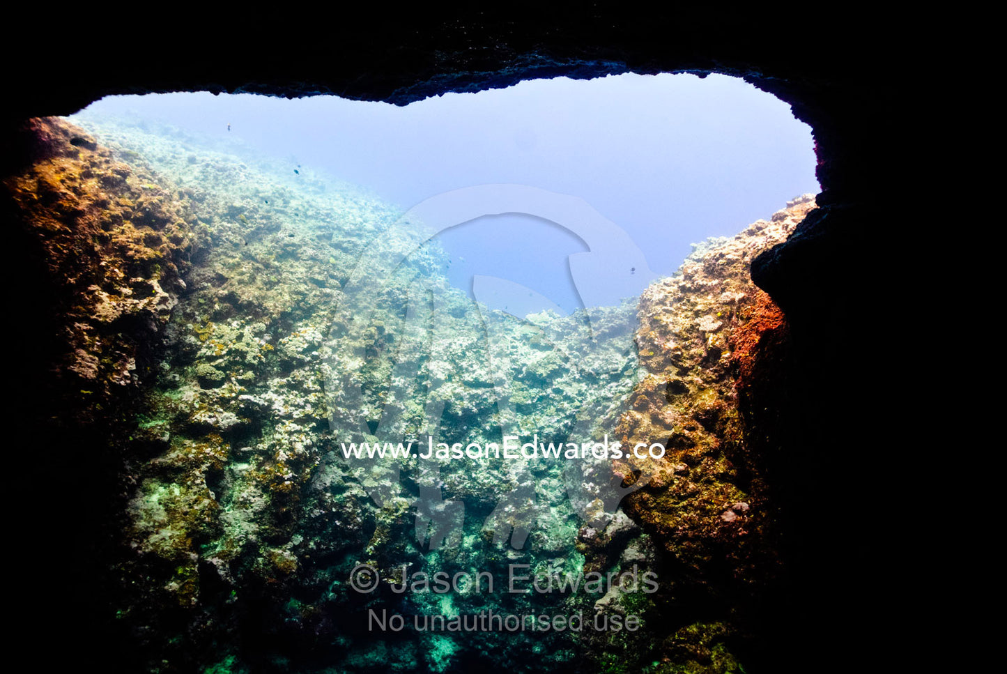 Sunlight enters the gaping mouth of an underwater coral cave. Mariner's Cave, Vava'u Island Group, Pacific Ocean, Oceania, Kingdom of Tonga.