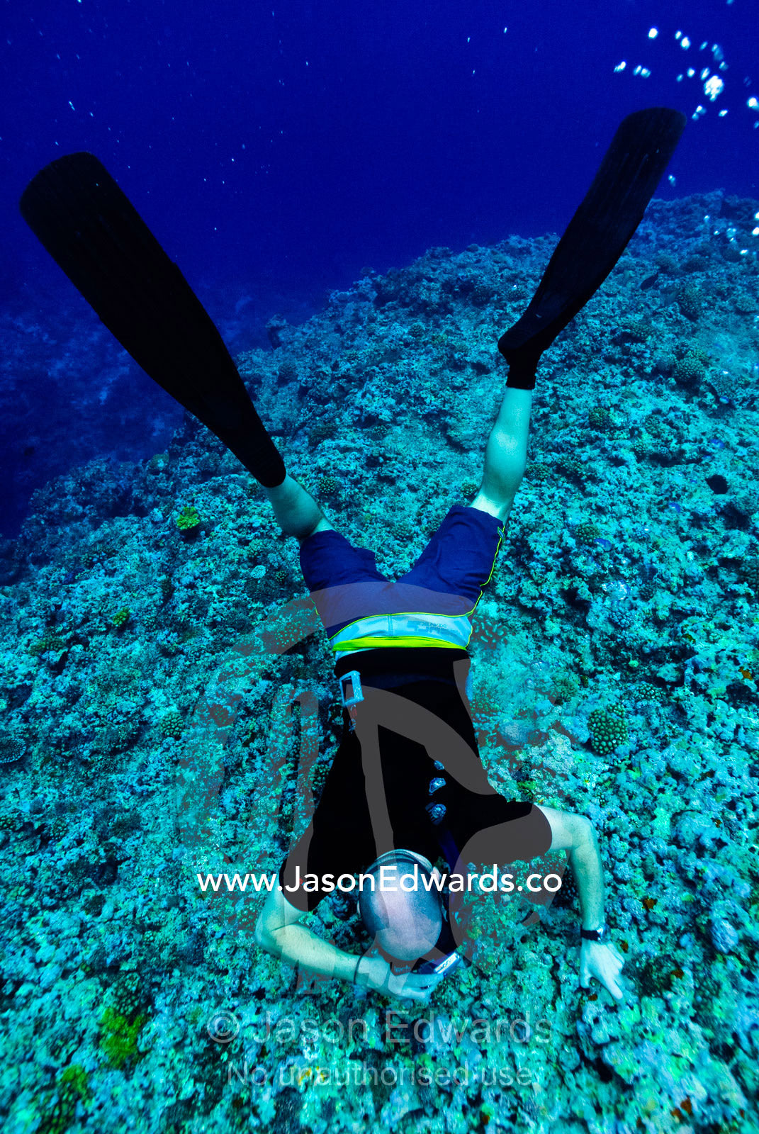 A snorkelling free diver takes an underwater photo over a coral reef. Vava'u Island Group, Pacific Ocean, Oceania, Kingdom of Tonga.