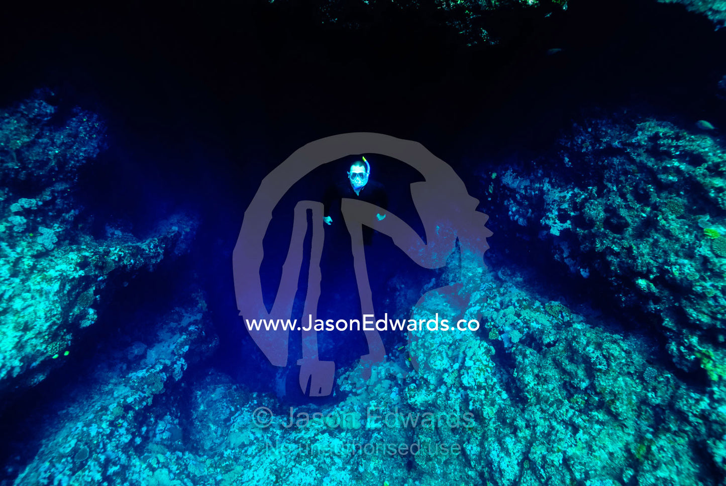 A free diver ascends from the depths of an underwater cave. Vava'u Island Group, Pacific Ocean, Oceania, Kingdom of Tonga.