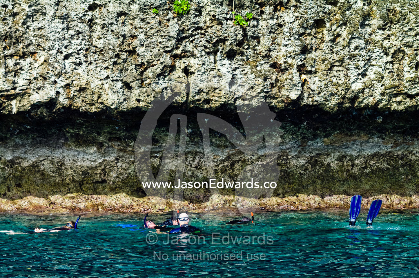 Tourists snorkel in clear seas at the base of a limestone island cliff Swallows Cave, Vava'u Island Group, Pacific Ocean, Oceania, Kingdom of Tonga.