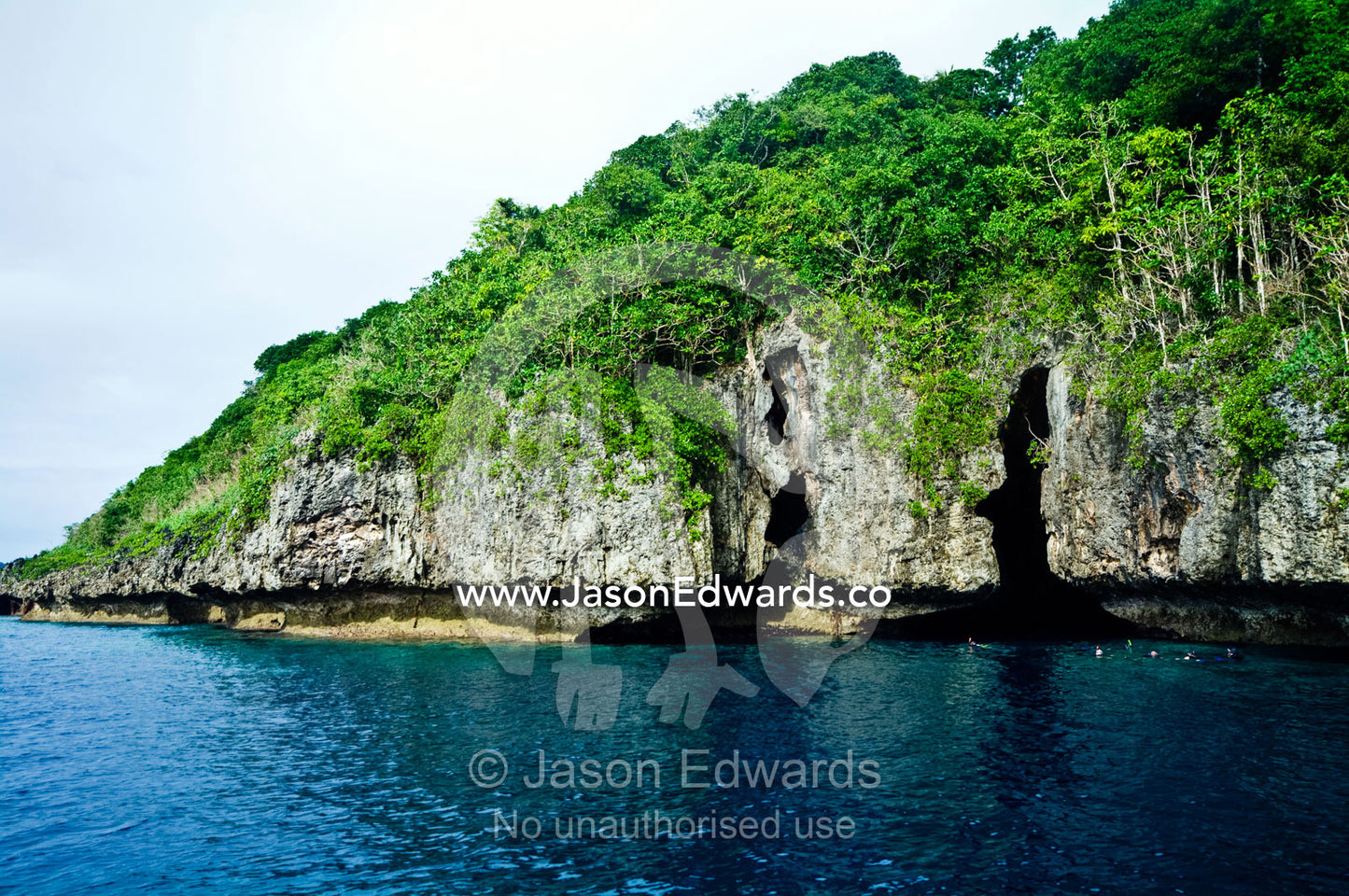 Lush forest above the entrance to a cave eroded in a limestone cliff. Swallows Cave, Vava'u Island Group, Pacific Ocean, Oceania, Kingdom of Tonga.
