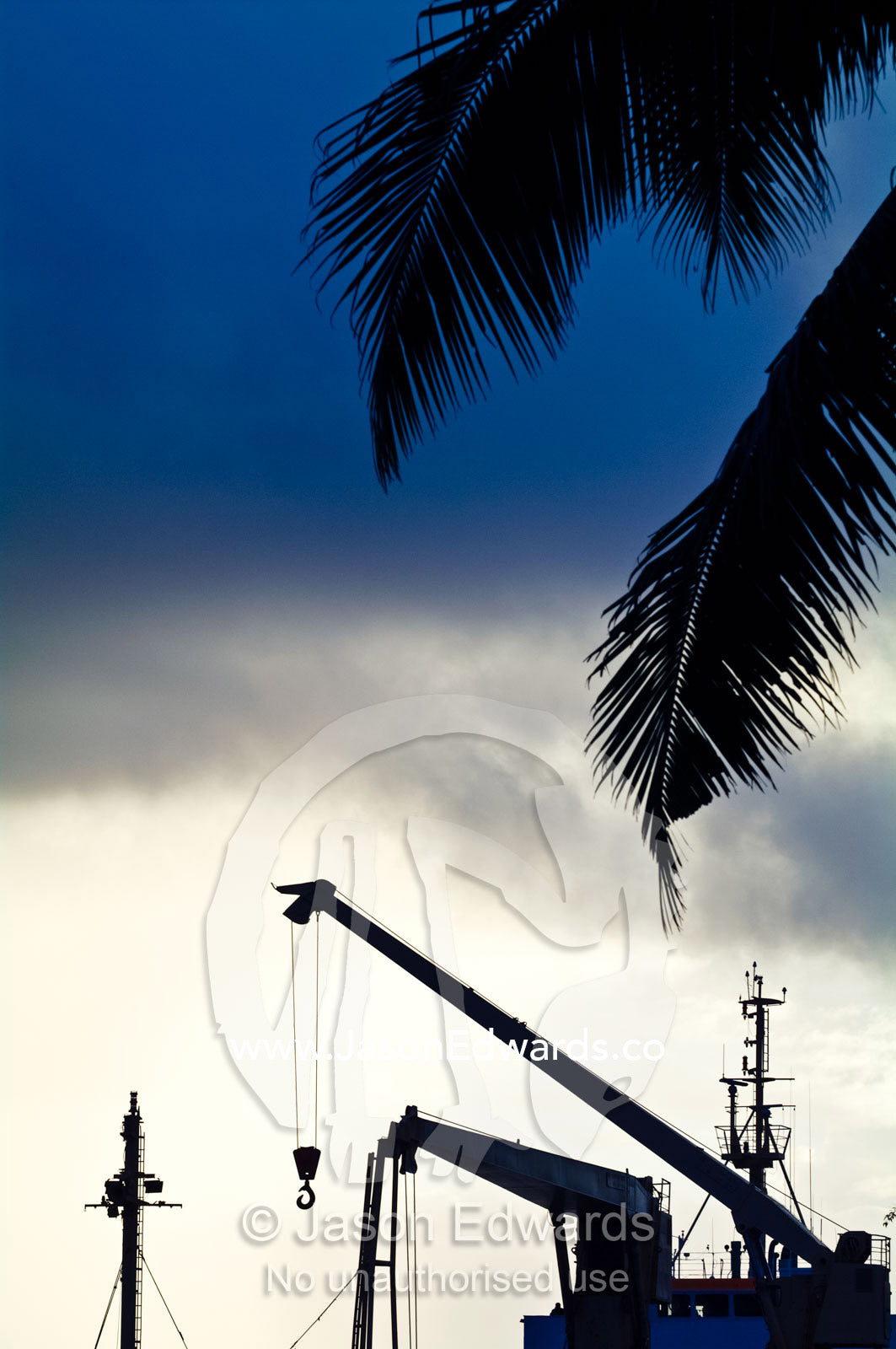 A shipping port crane hook swings below palm tree fronds at sunset. Port of Refuge, Neiafu, Vava'u Island Group, Pacific Ocean, Oceania, Kingdom of Tonga.